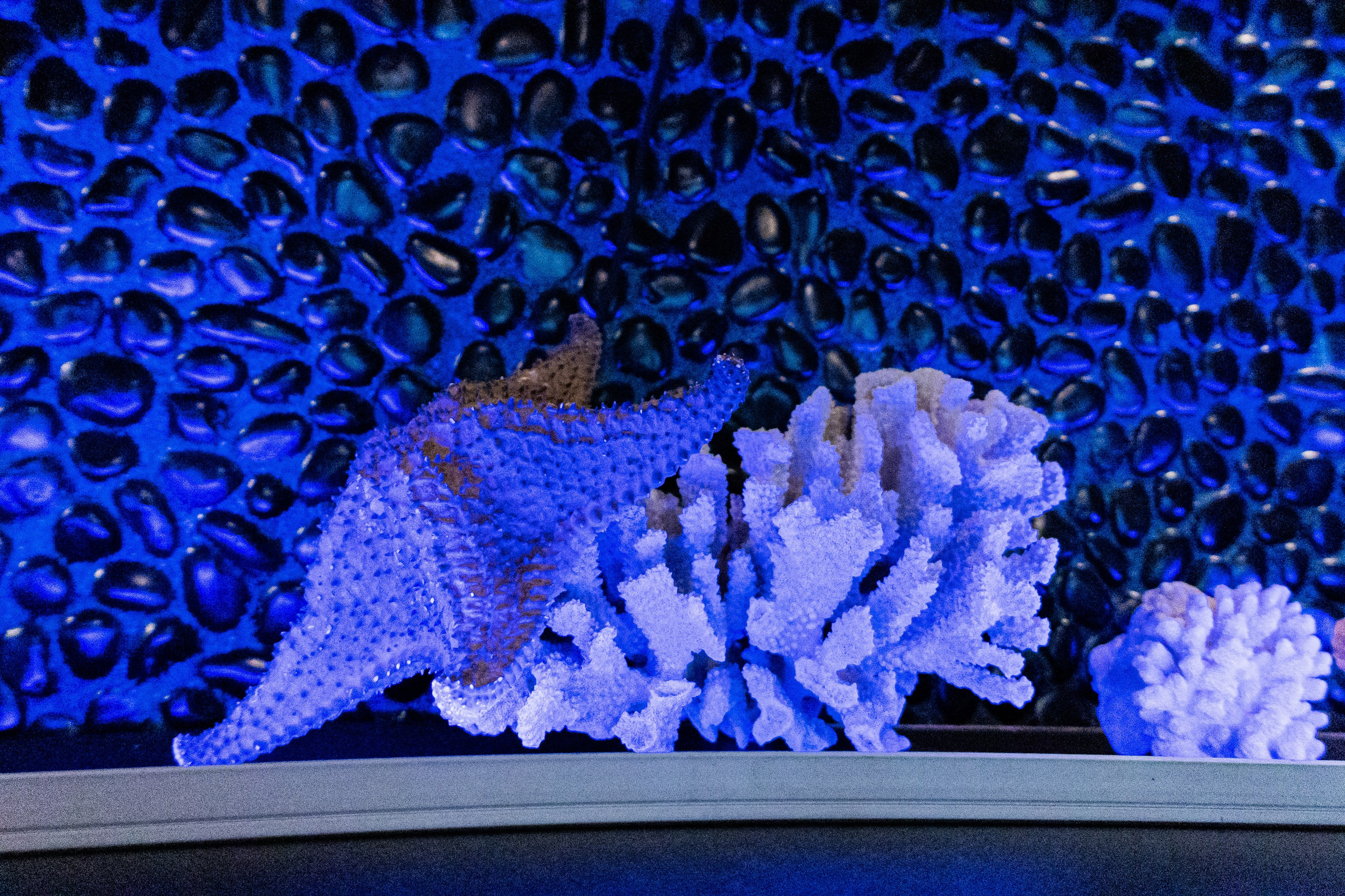 Детали. Свадебный Фотограф в Иркутске Екатерина Елисеева