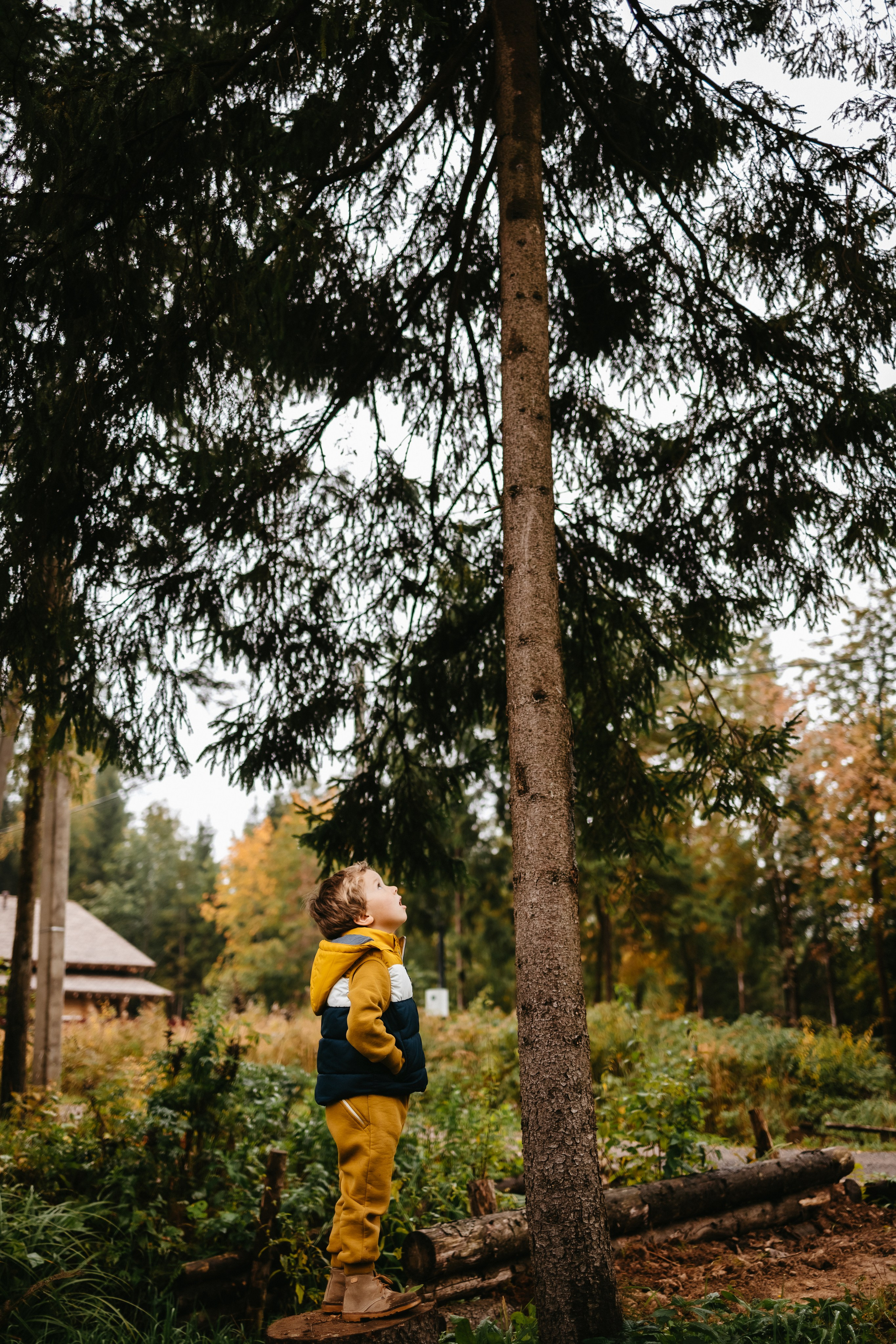 Там где тепло…. Евгения Пелипас