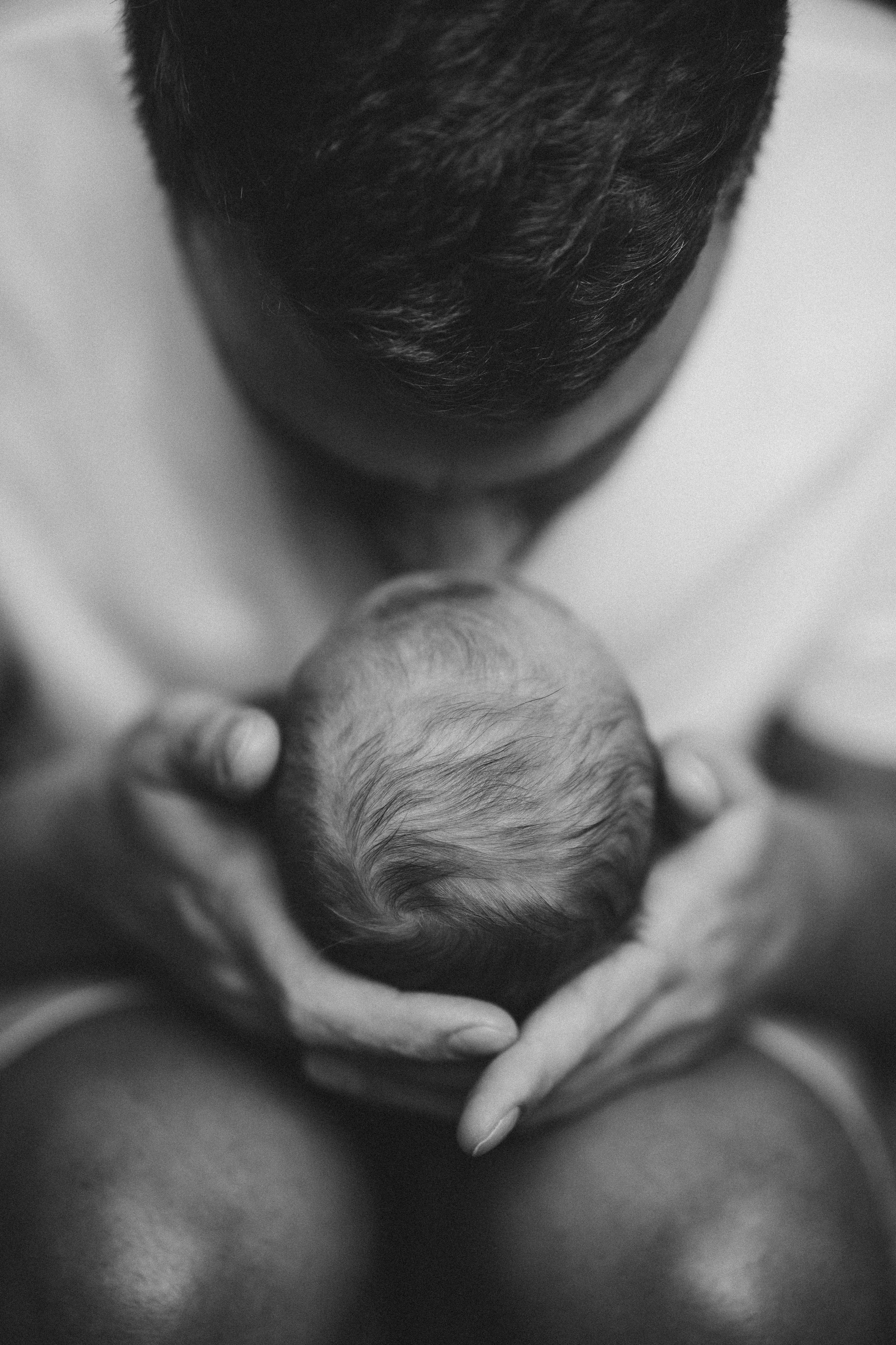 Платон. Евгения Пелипас