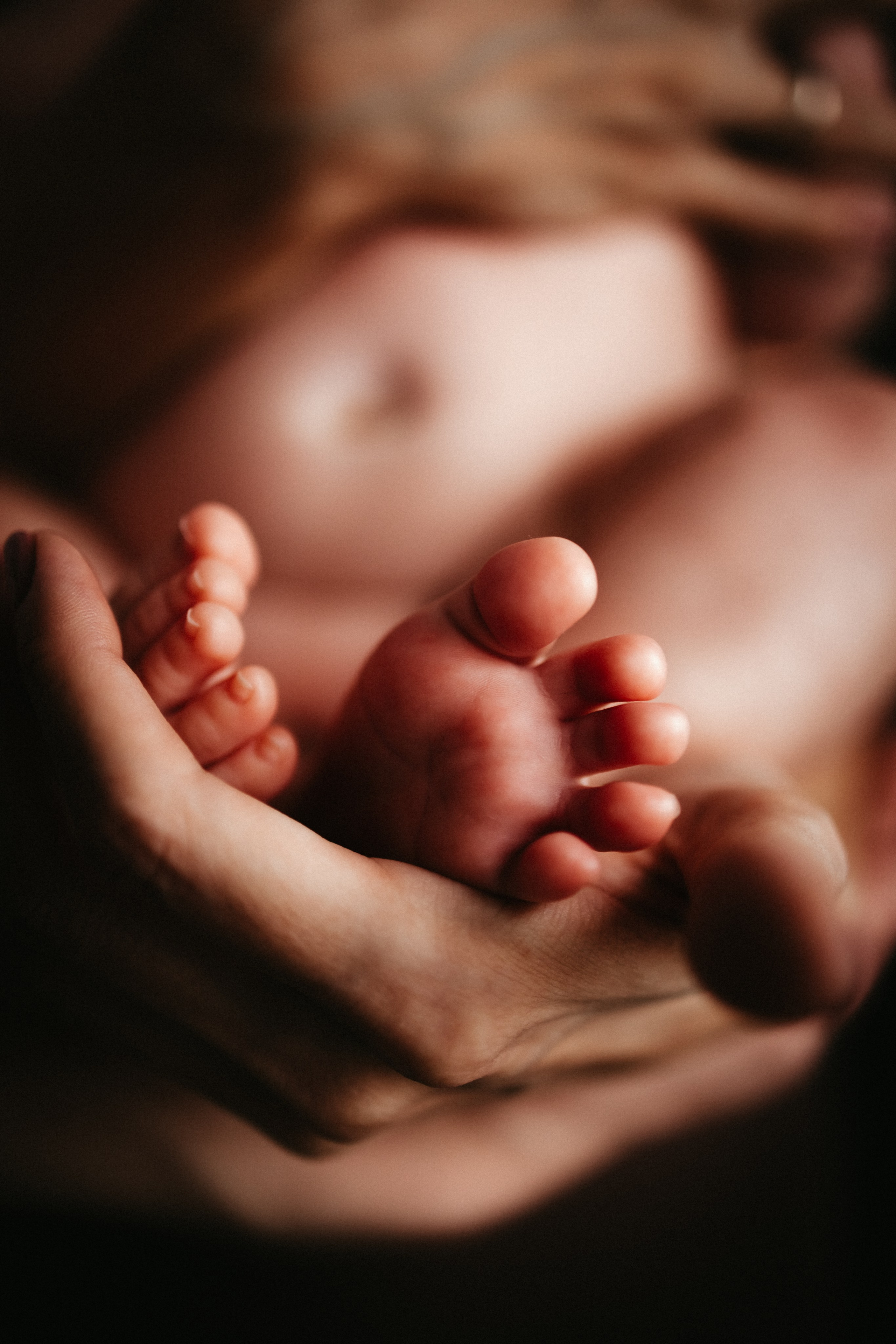 Лёва 2 месяца. Евгения Пелипас