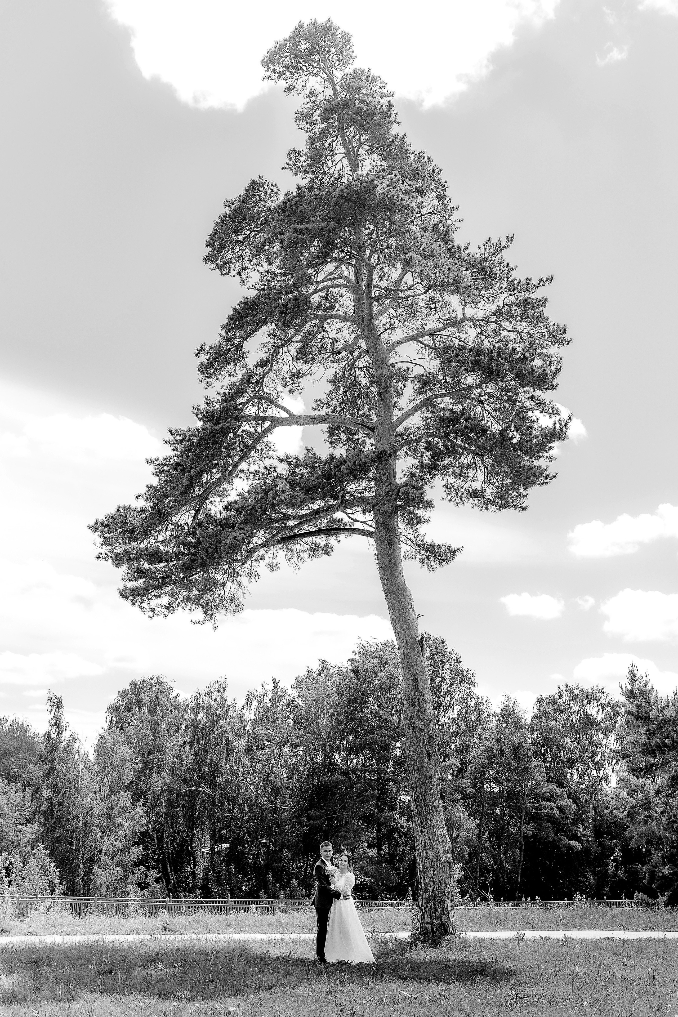 Фотограф на свадьбу Тюмень. Профессиональный фотограф в Тюмени Наталья Кравченко