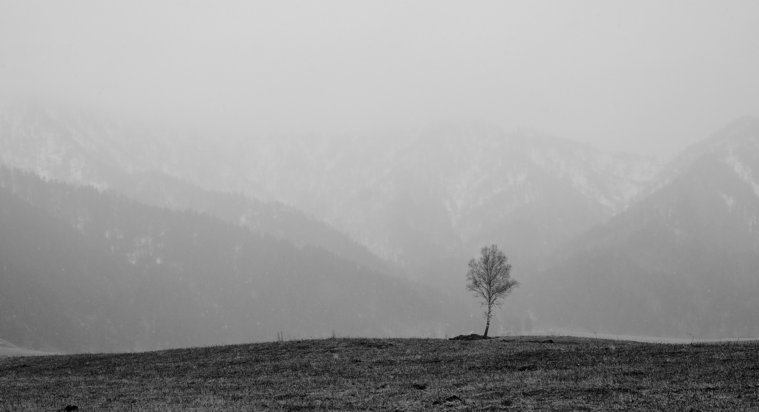 Алтай в ожидании лета. Shaltay Gallery