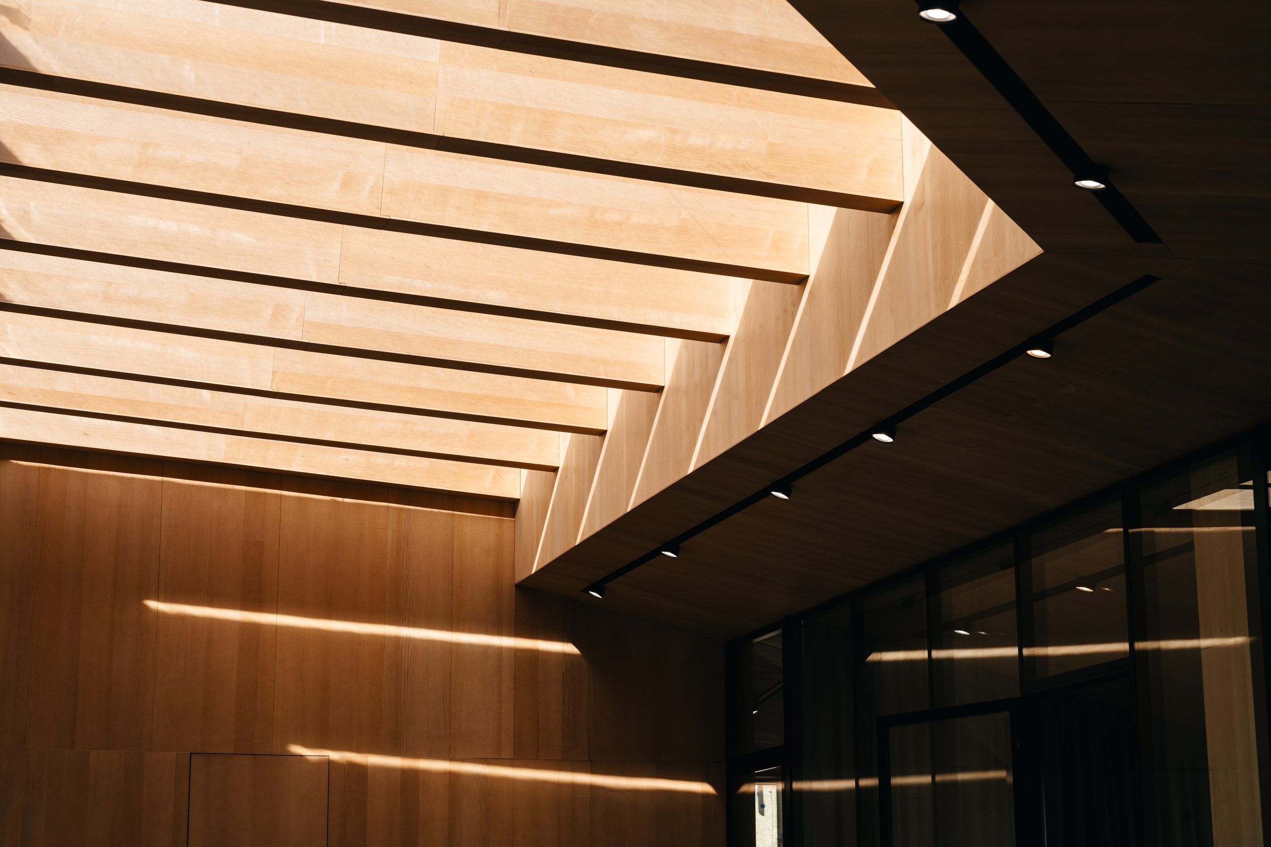 FØRST, FORMA. @tomrus: Рустам Шагиморданов — фотограф