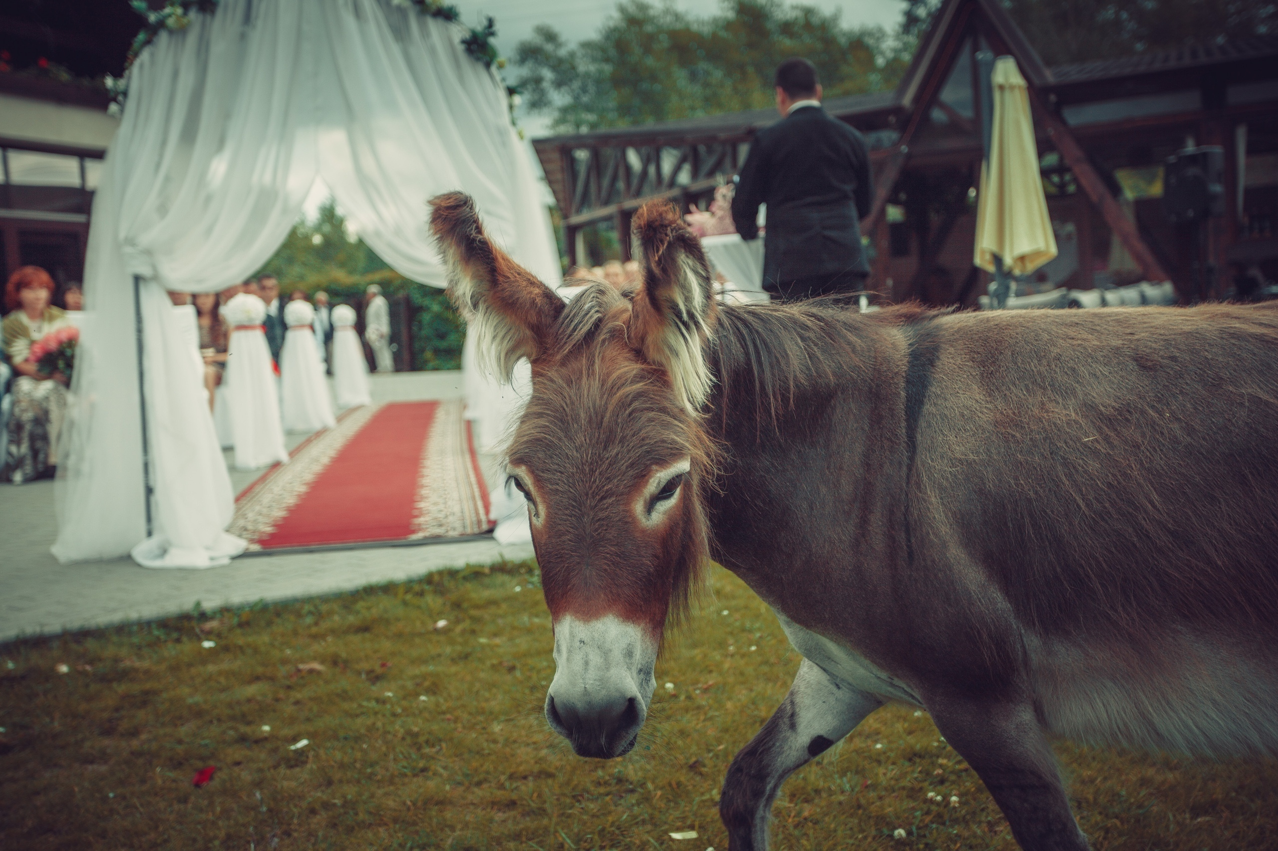 Даша и Слава. Семейный, свадебный, рекламный фотограф в Челябинске Евгений МЕНЬШИХ