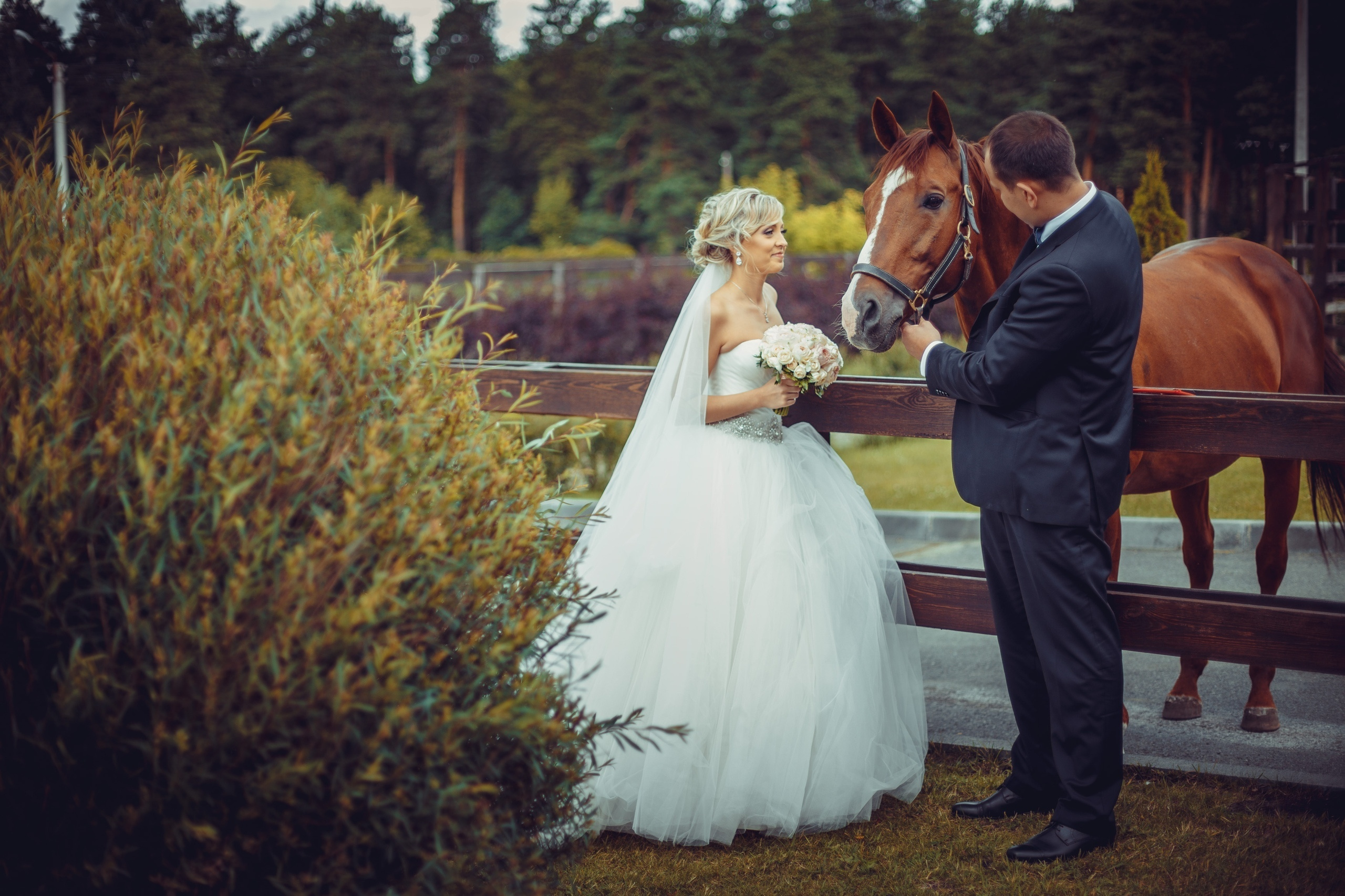Даша и Слава. Семейный, свадебный, рекламный фотограф в Челябинске Евгений МЕНЬШИХ