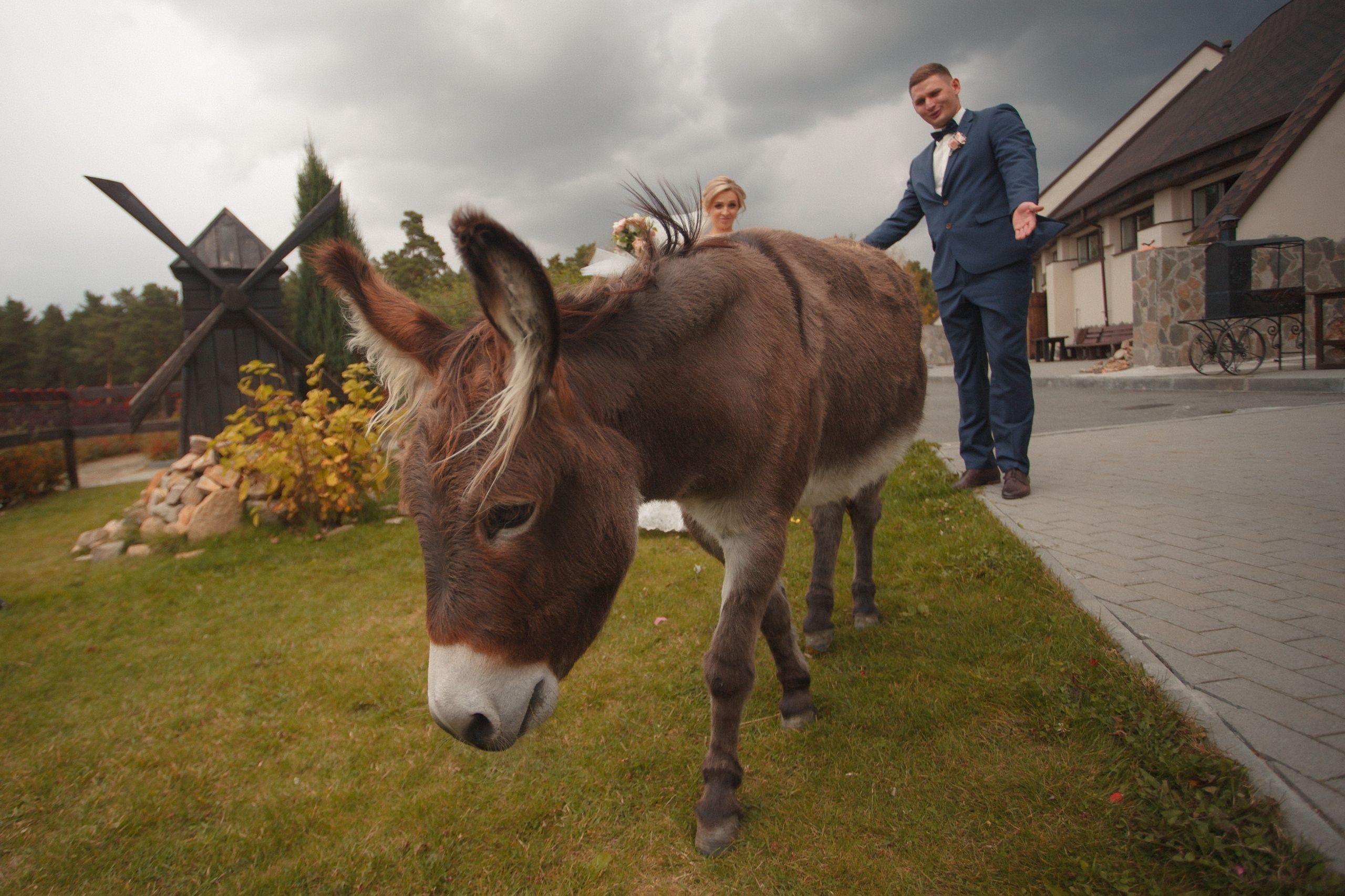 Лена и Саша. Семейный, свадебный, рекламный фотограф в Челябинске Евгений МЕНЬШИХ