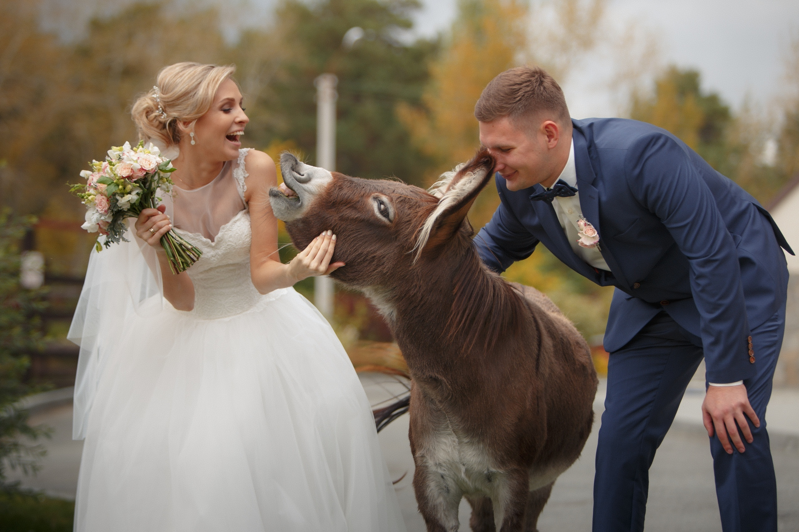 Лена и Саша. Семейный, свадебный, рекламный фотограф в Челябинске Евгений МЕНЬШИХ