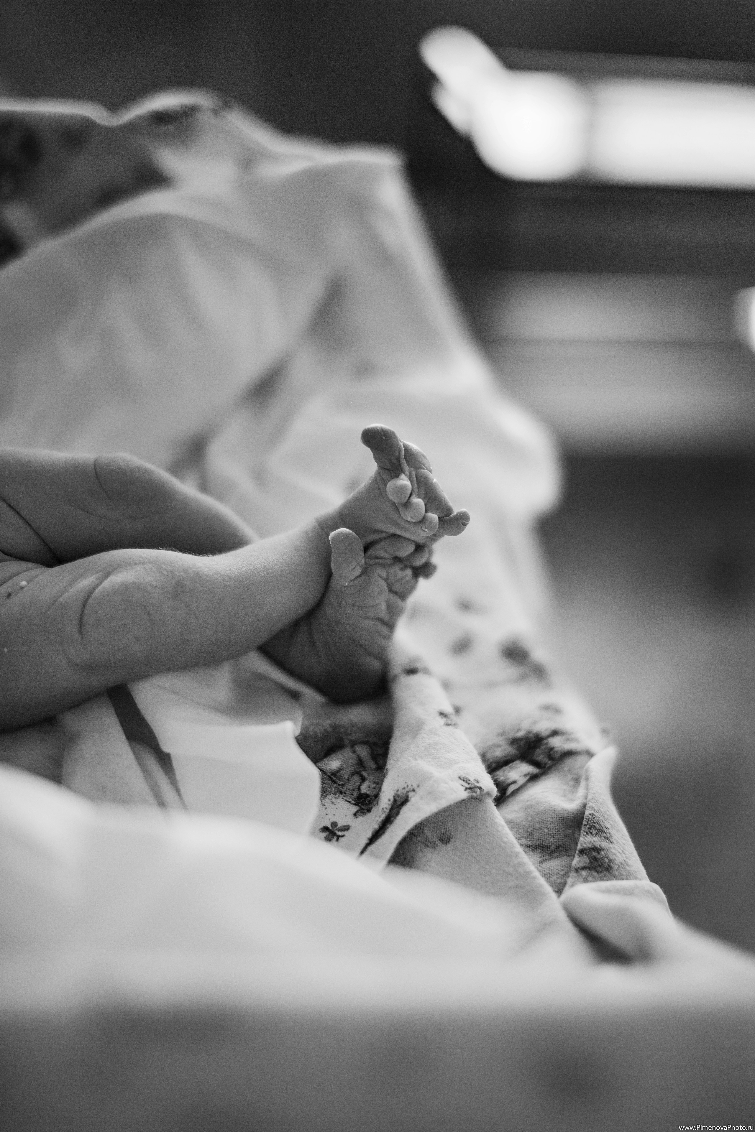 Истории. Семейный и детский фотограф в Петрозаводске