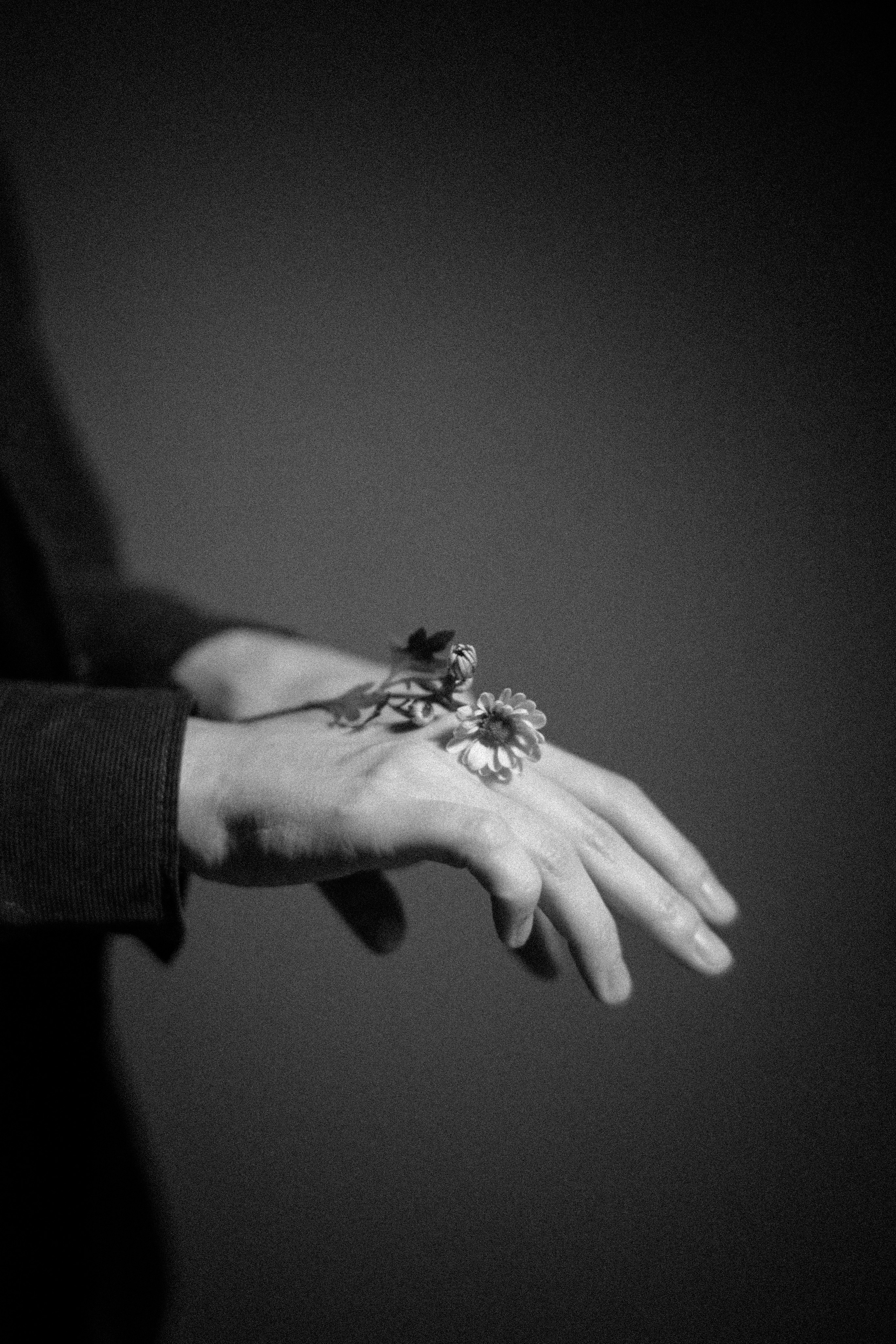 Портреты. Фотограф Анна Кирнос