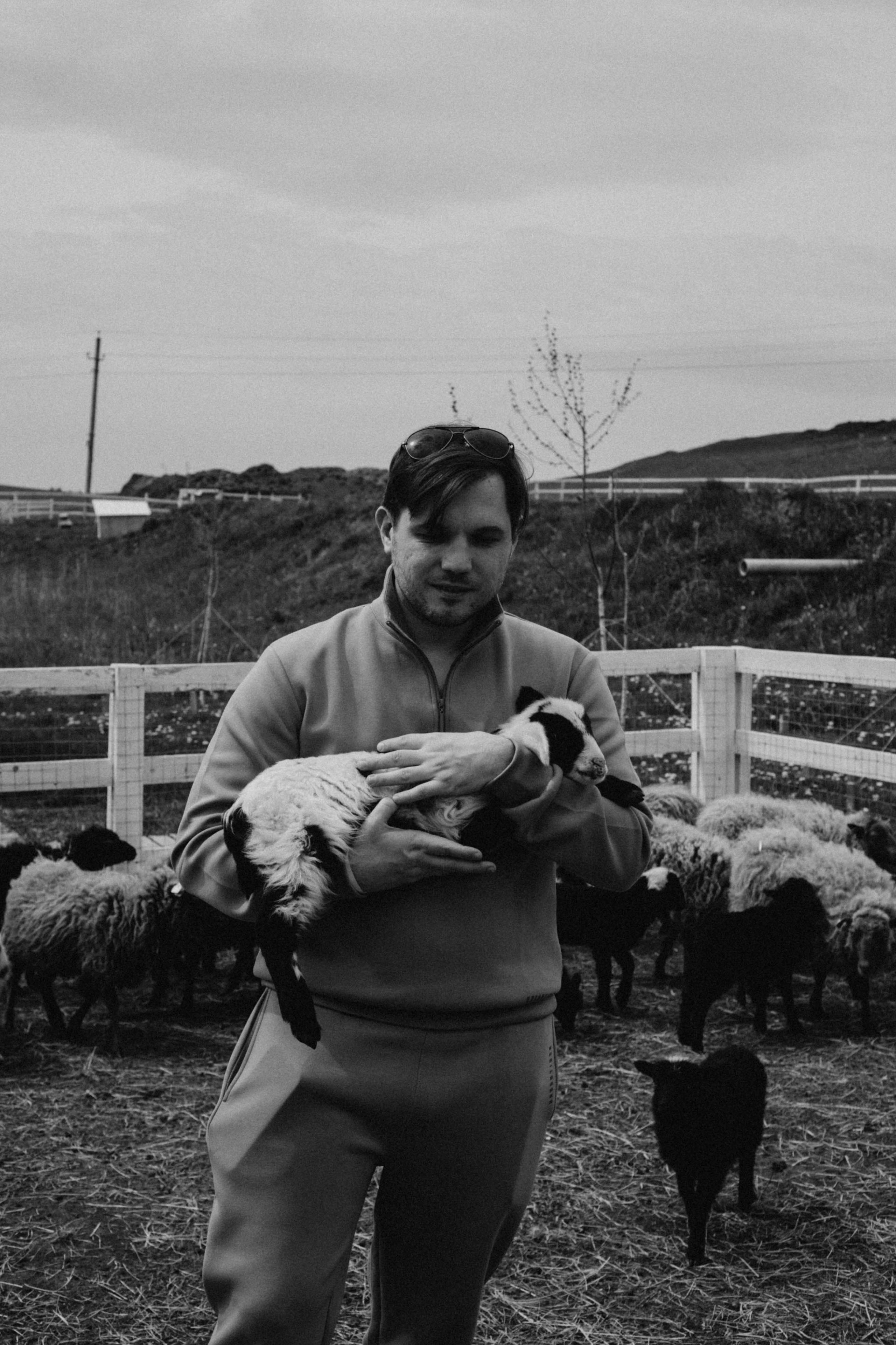 Ферма Альпак. Профессиональный фотограф, Санкт-Петербург — Виктория Богомолова