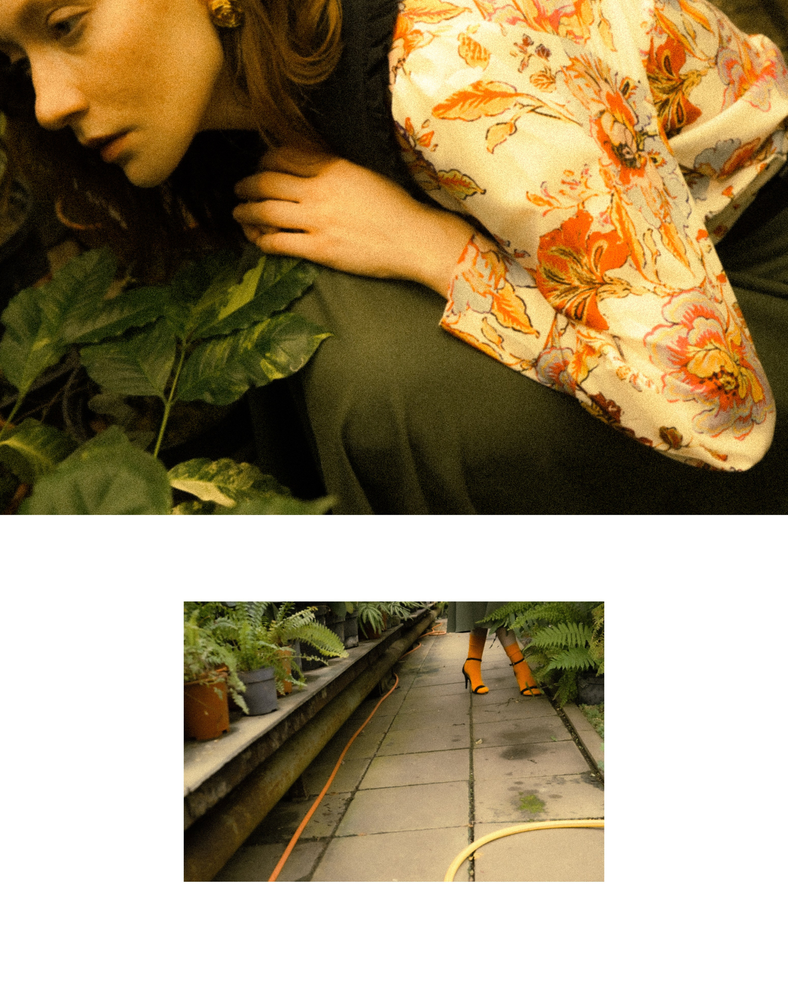 BOTANICAL GARDEN'24. Фотограф Нижний Новгород