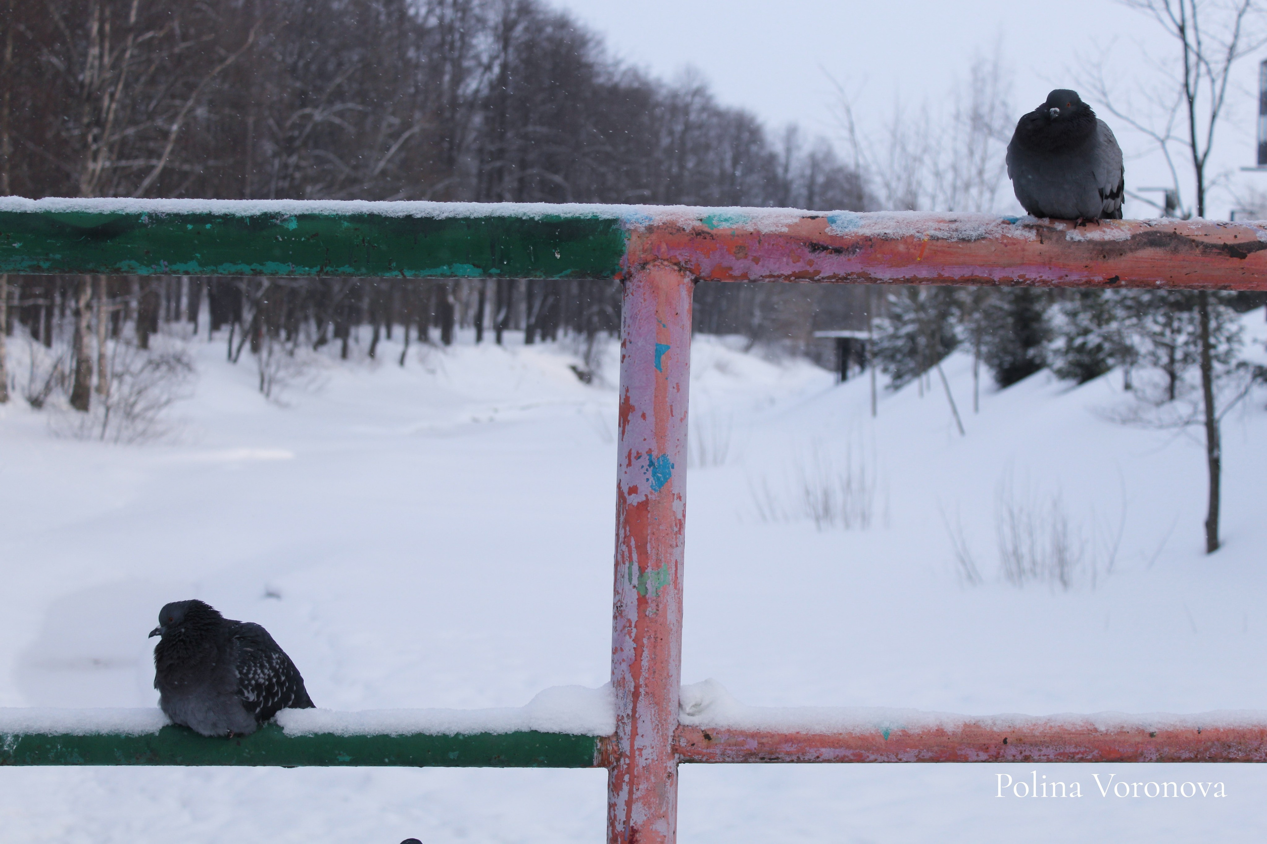 Петрозаводск Февральский. Хорошая экспедиция