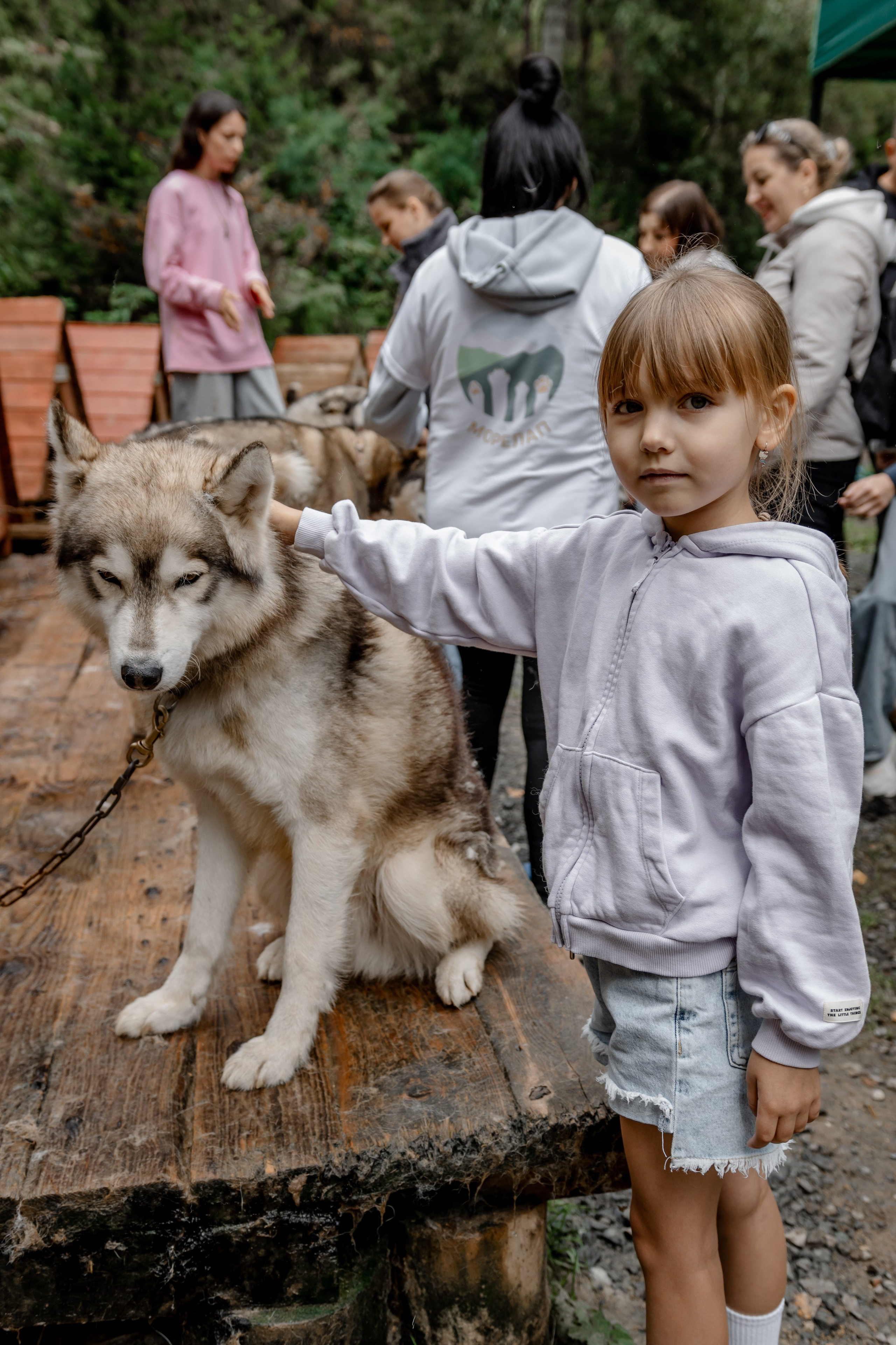 Дог-треккинг