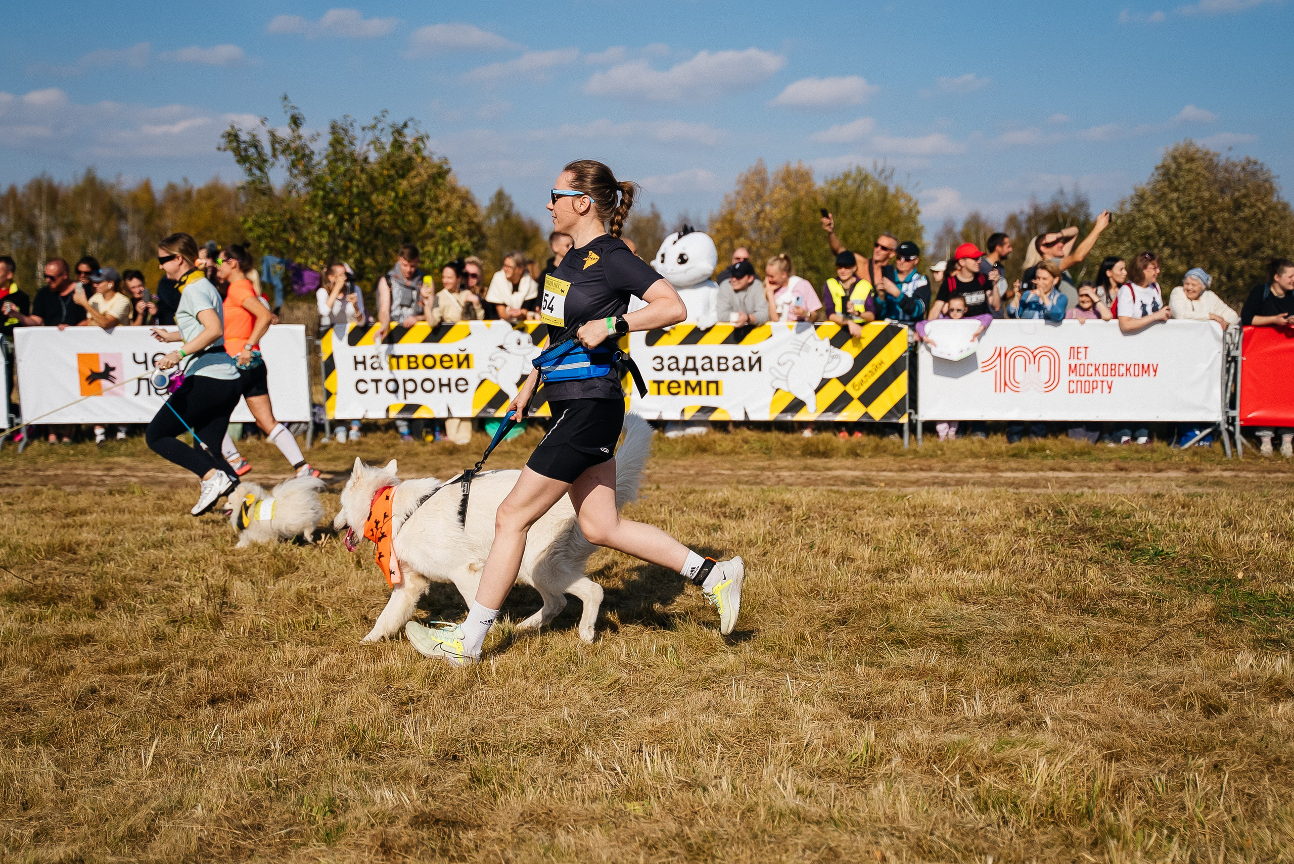 Билайн. Павел Краснов — Свадебный и репортажный фотограф в Москве