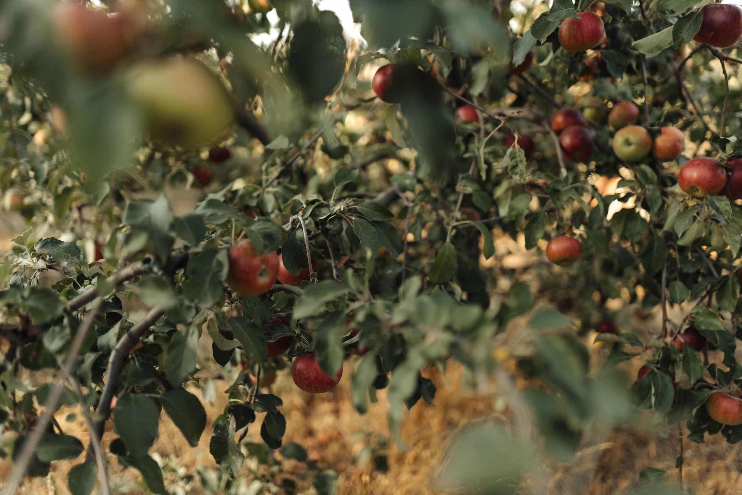 Когда мы с сестрой были маленькими…