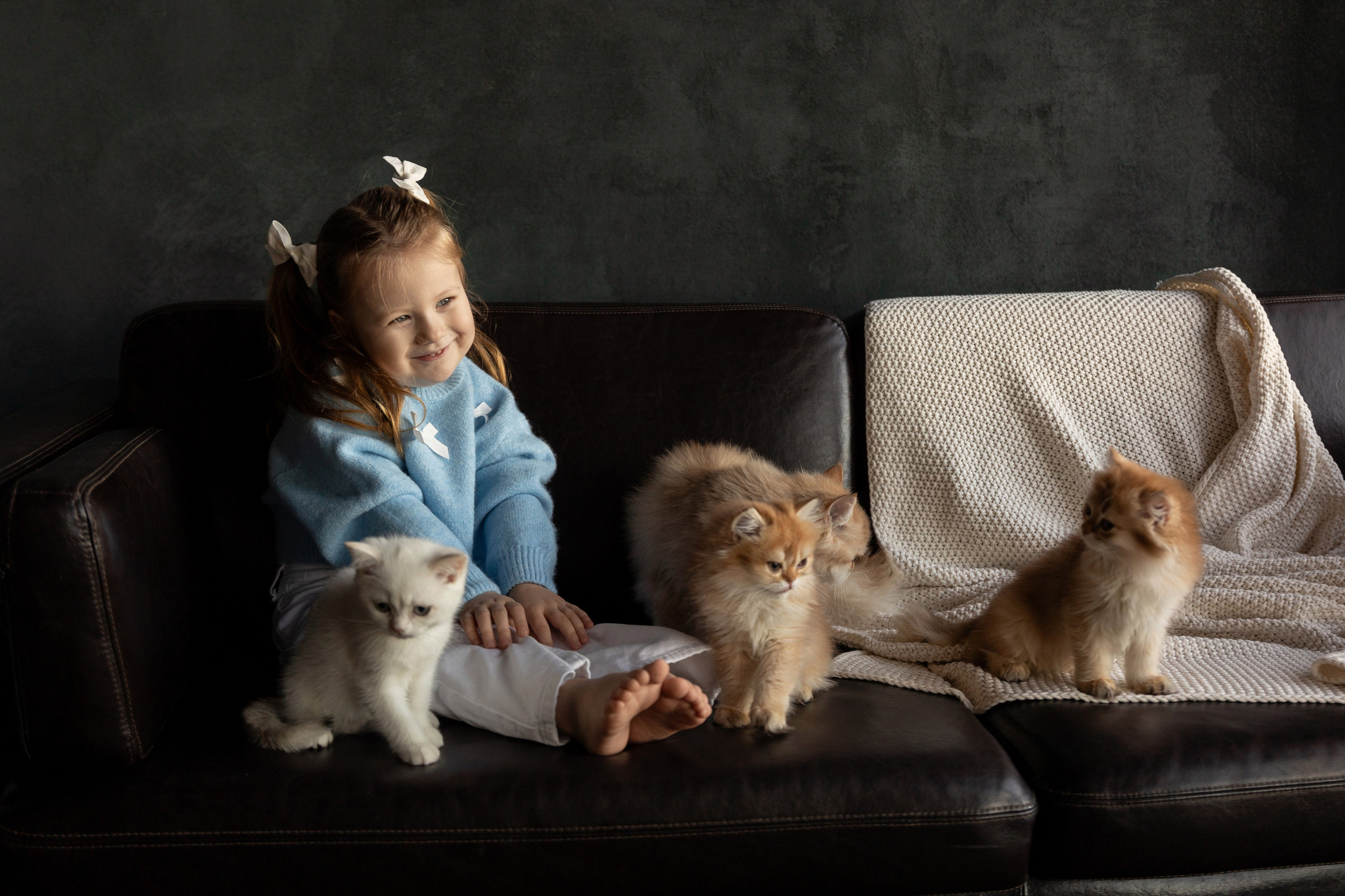 Фотосессия с котятами. Семейный и свадебный фотограф в Санкт-Петербурге Татьяна Швыкова