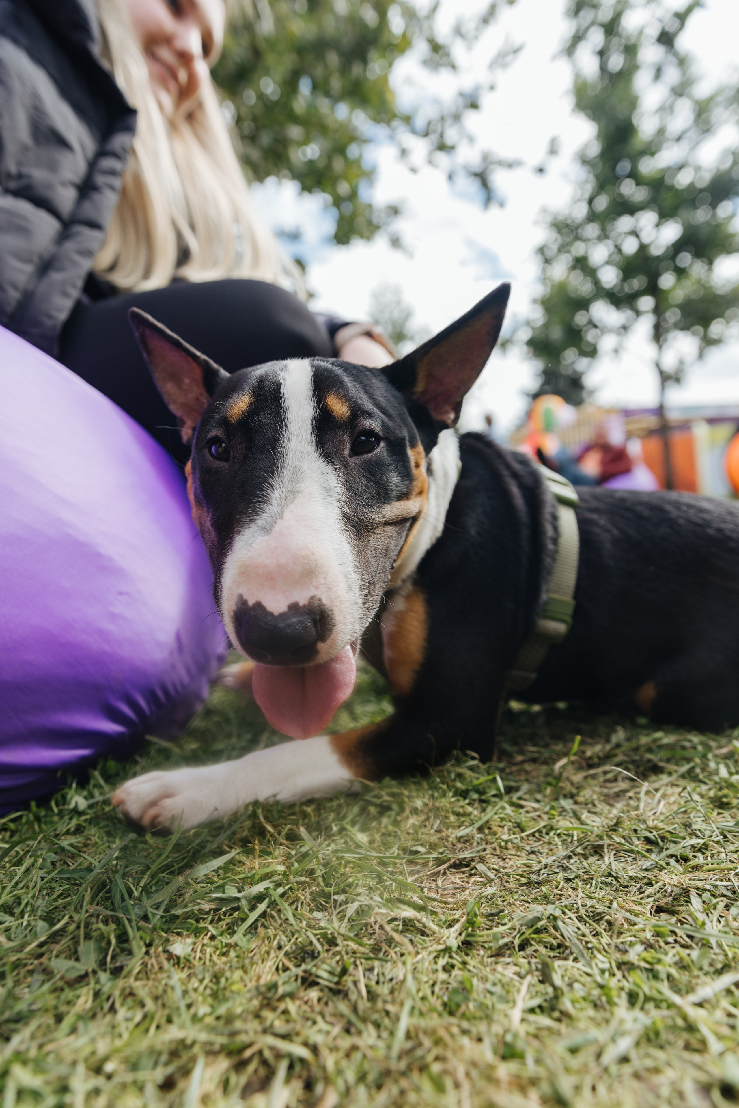 Хвостатый репортаж. Аксана Лисовская фотограф в Москве. Фотографии с характером