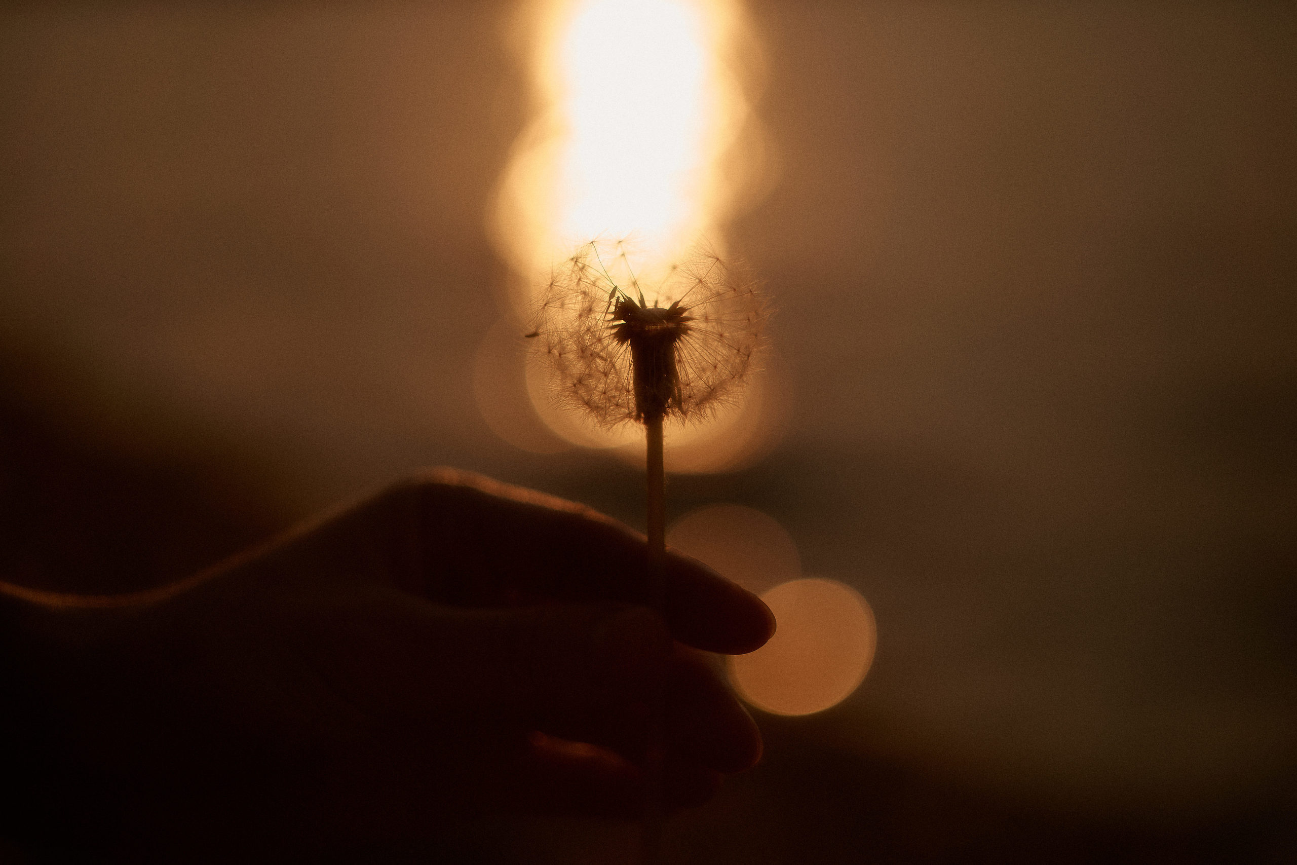 Anastasia Summer. Фотограф Анастасия Федорова  Санкт-Петербург