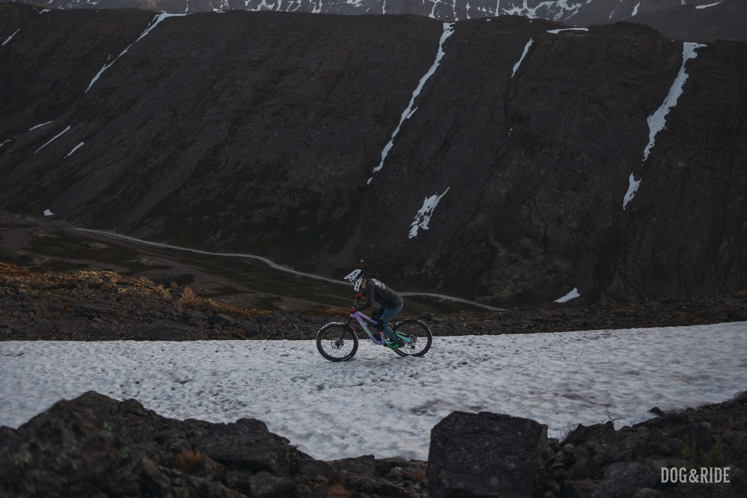 Хибины. Фотограф анималист Никита Натальный