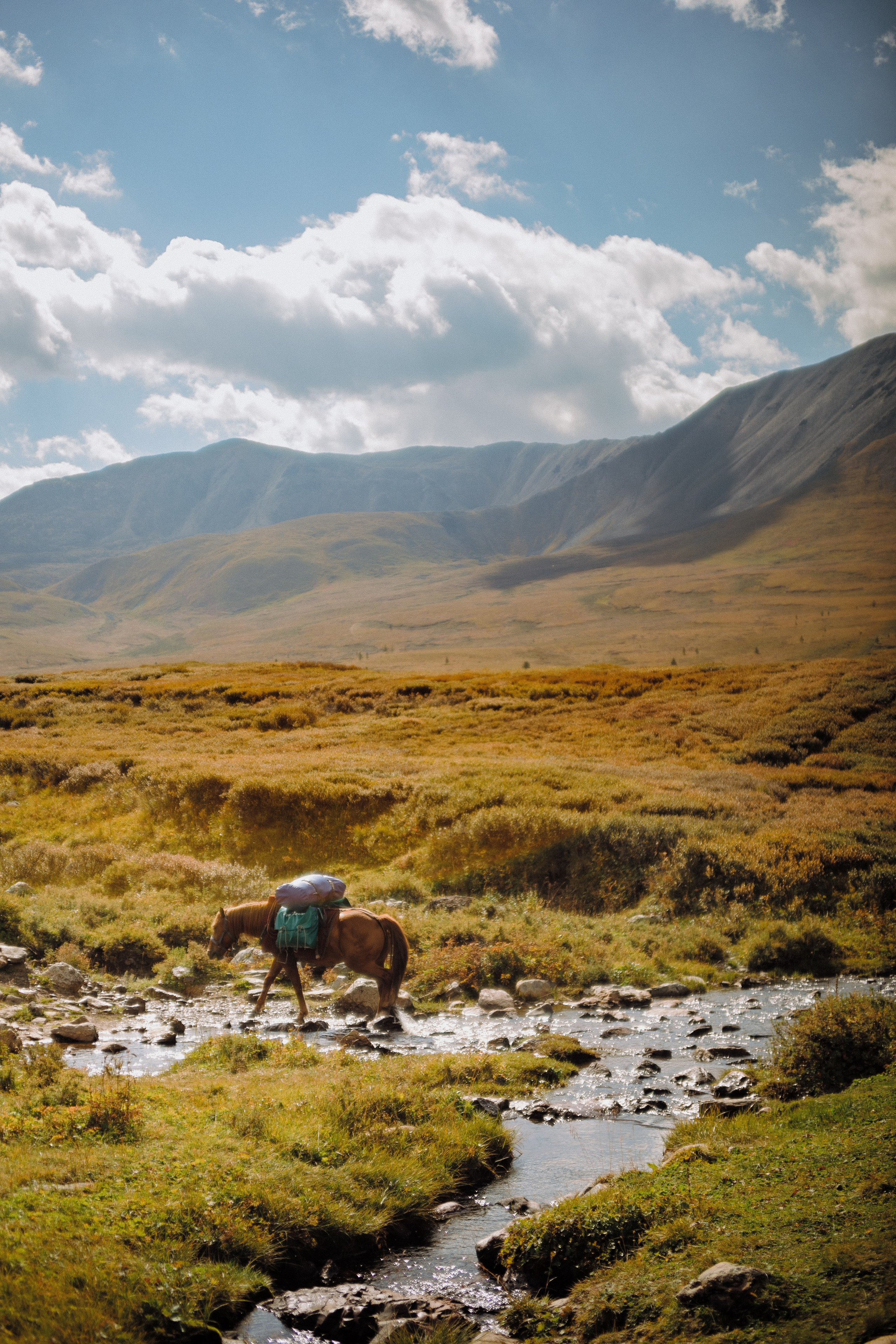 Шавлинские. Главная