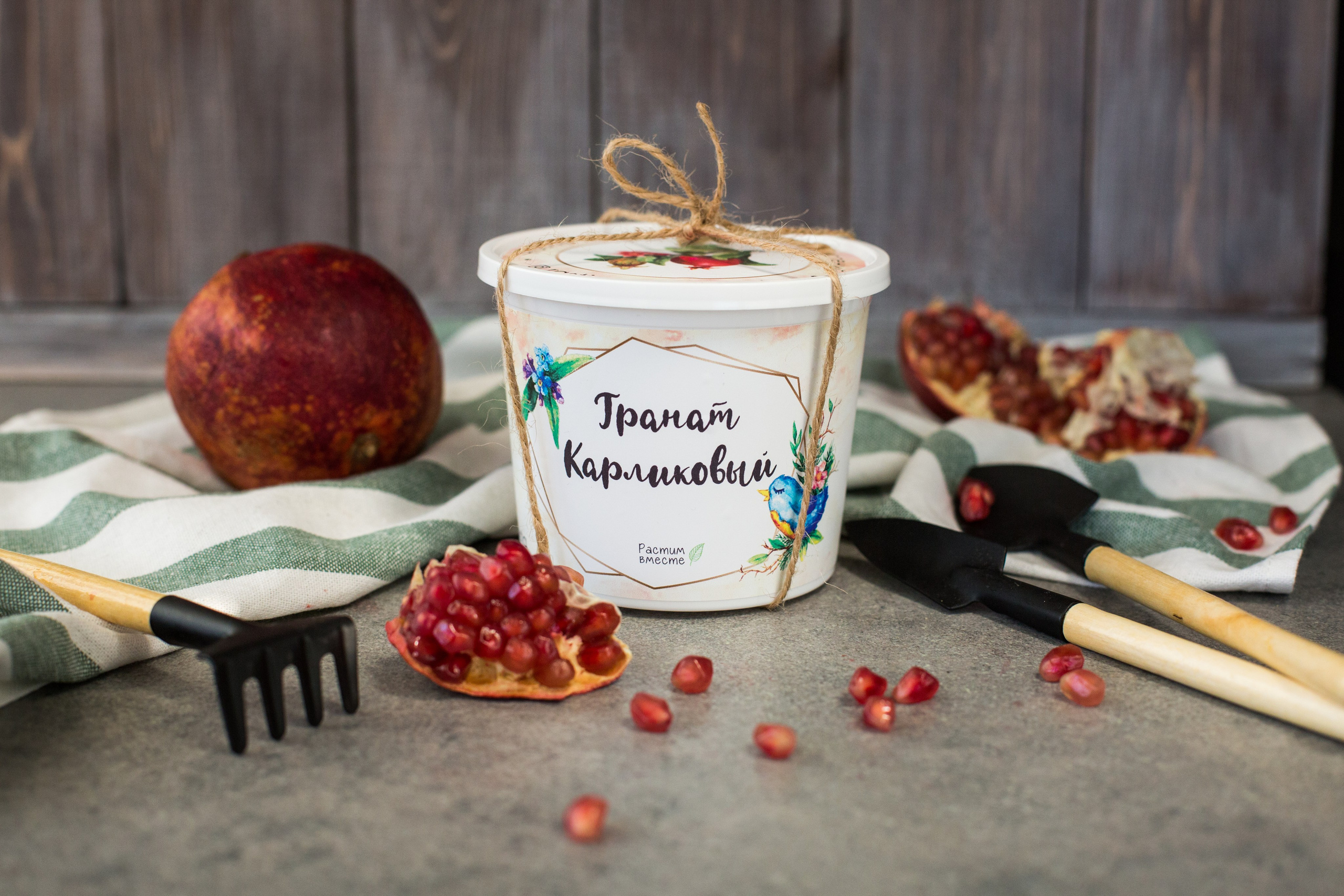 Растим вместе. Главная