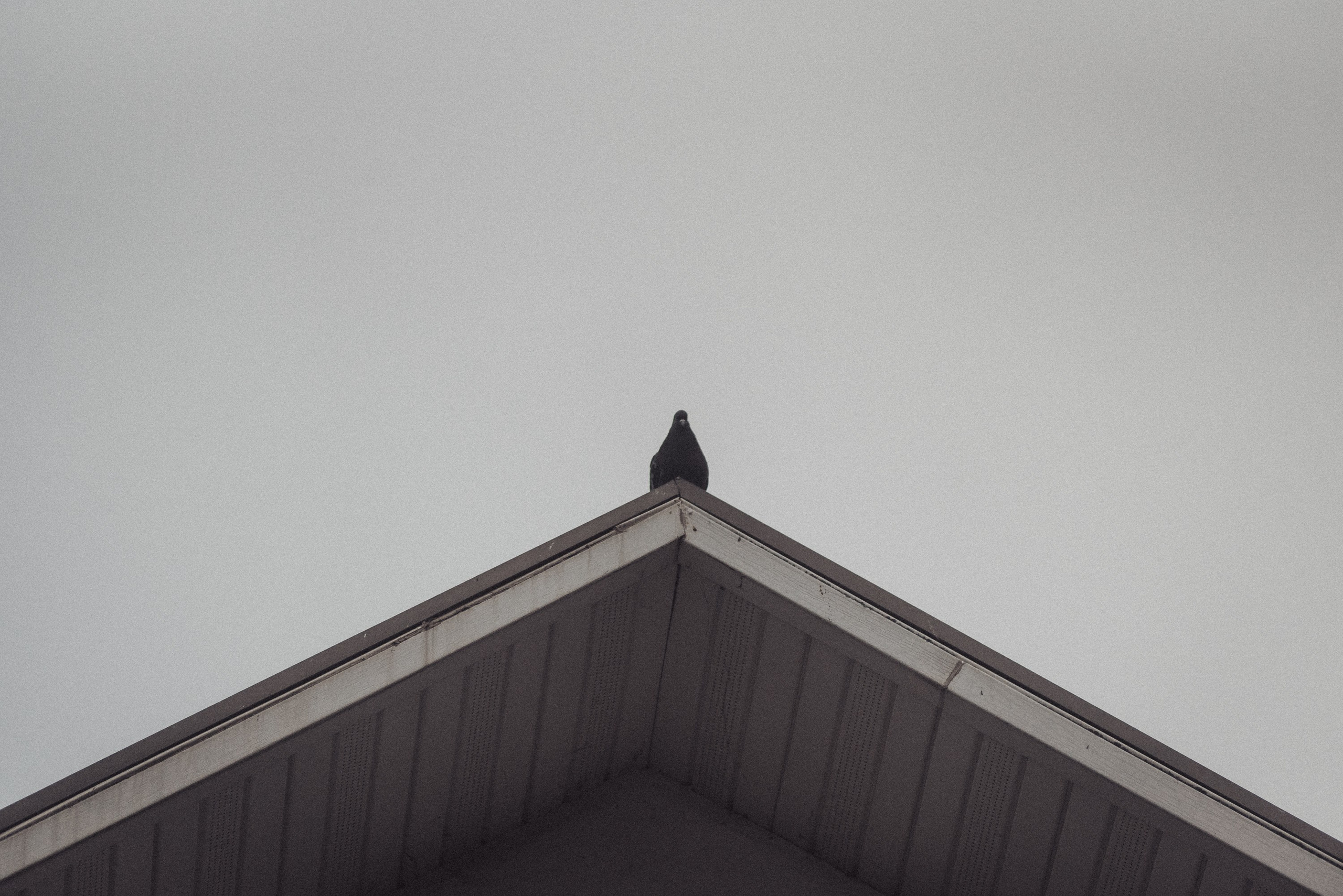 Проект #улицыгорода. Ярославль, улица Волкова. Документальный фотограф Илья Тихановский