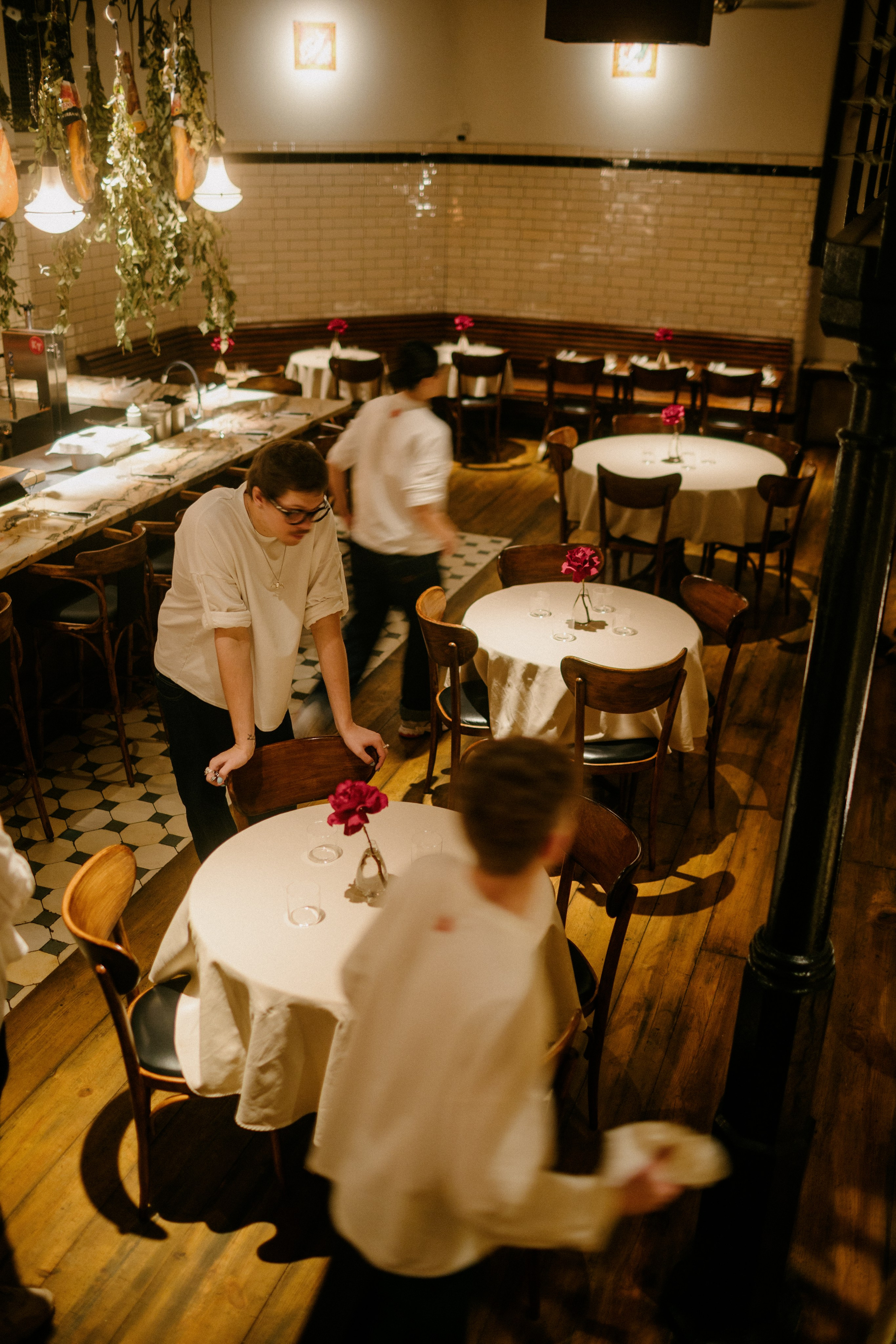 Carniceria vino. Frantova