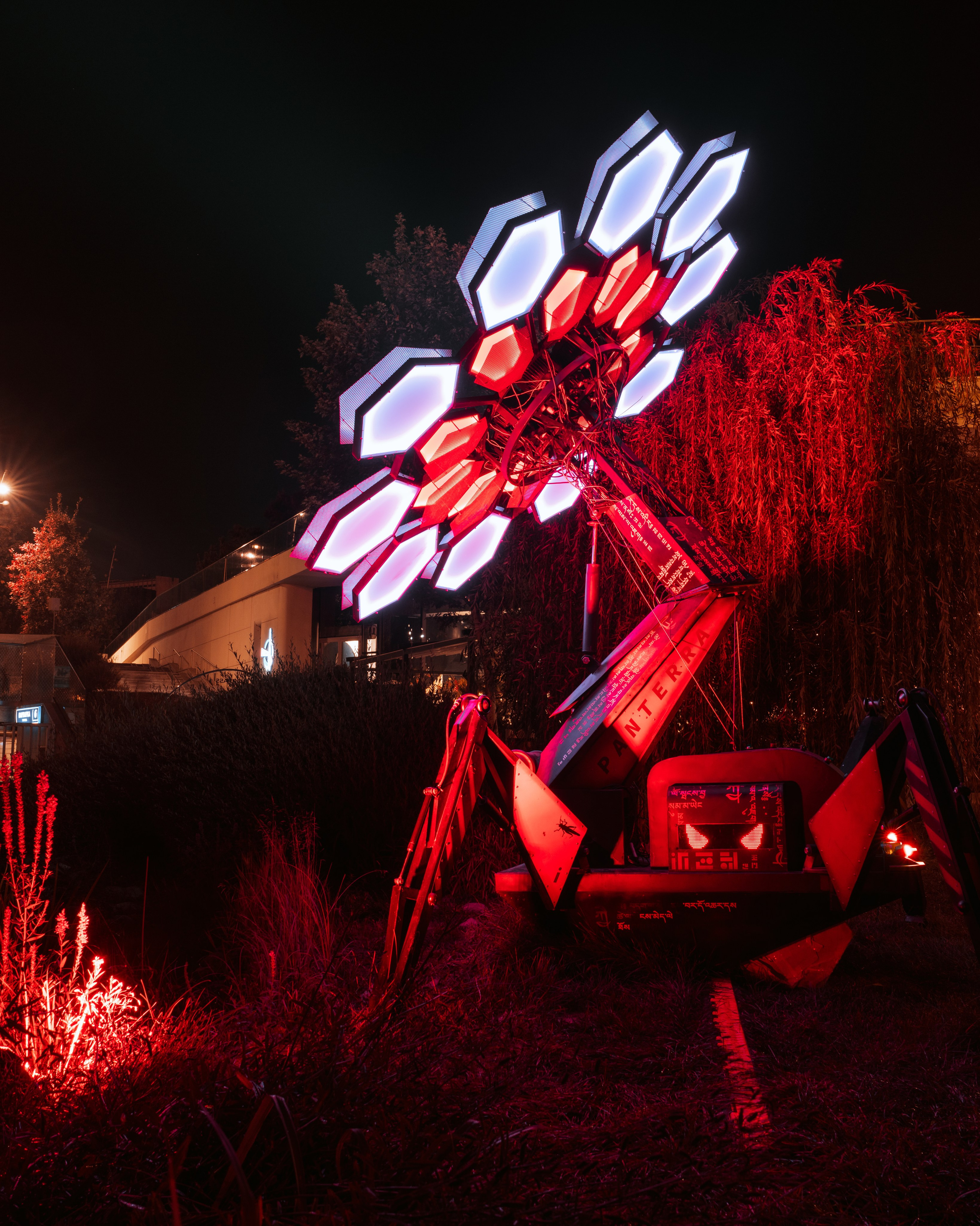 PANTERRA, Cyber Flower. @tomrus: Рустам Шагиморданов — фотограф