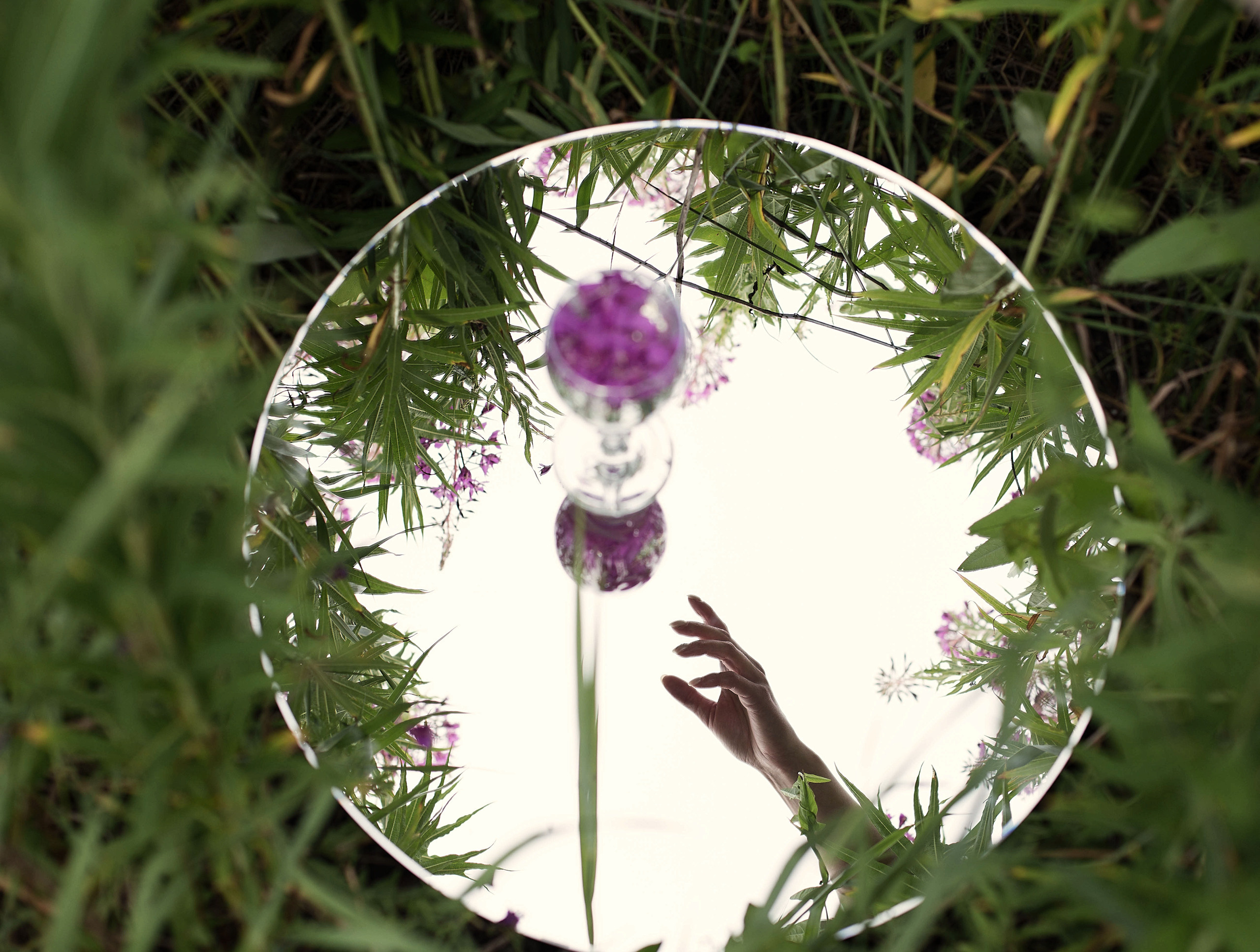 Фотосессия в поле Иван — чай. Иванова Ирина Свадебный и семейный фотограф г. Уфа