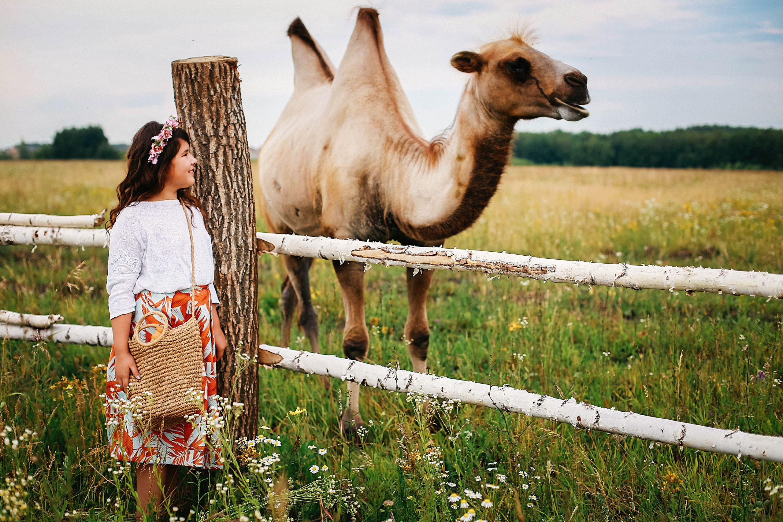 Кормление верблюдов. Семейная съемка. Иванова Ирина Свадебный и семейный фотограф г. Уфа