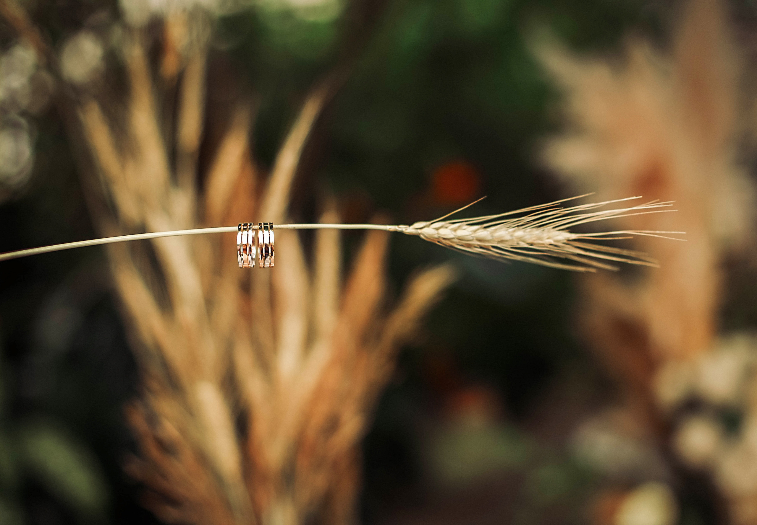 Свадебные кольца. Сниму ваши кольца так как никто не делает)). Иванова Ирина Свадебный и семейный фотограф г. Уфа