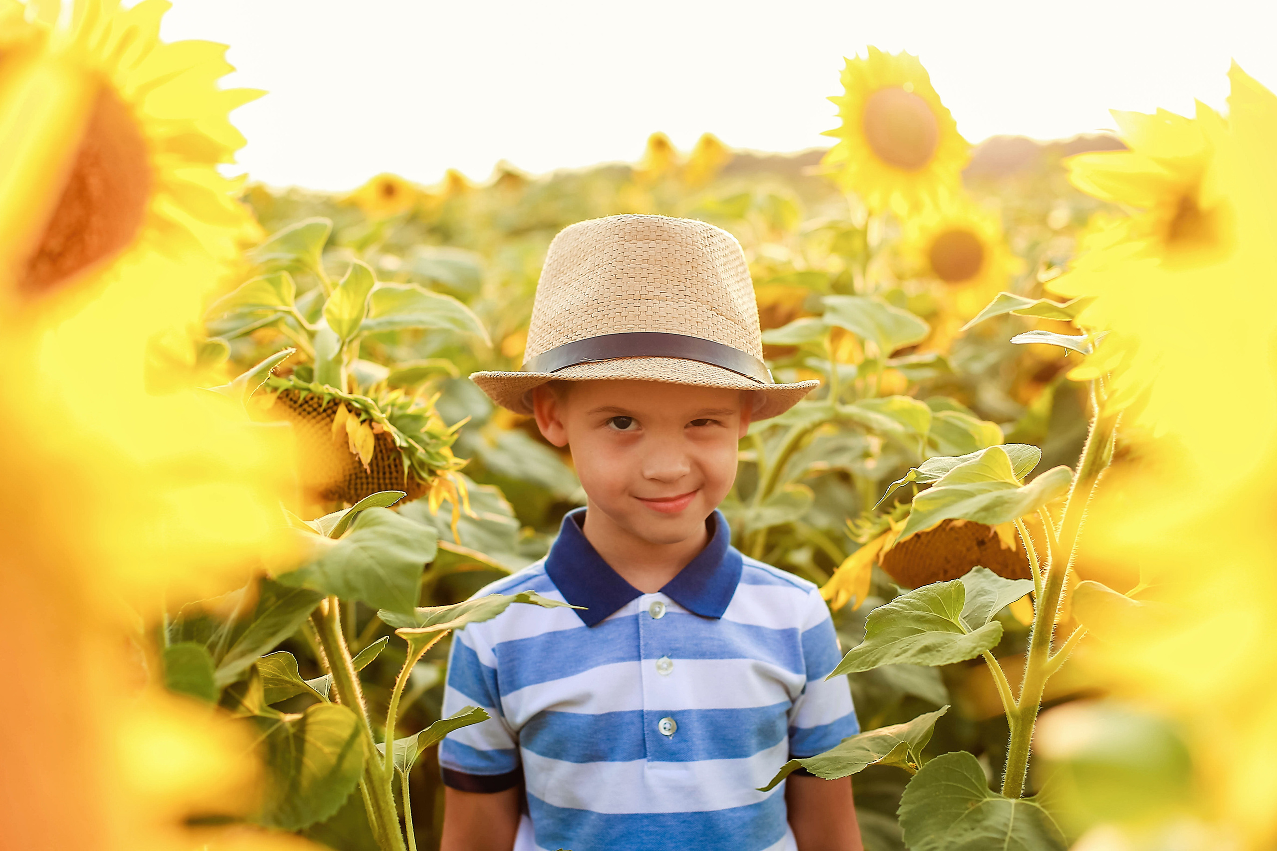 Семья в подсолнухах)). Иванова Ирина Свадебный и семейный фотограф г. Уфа