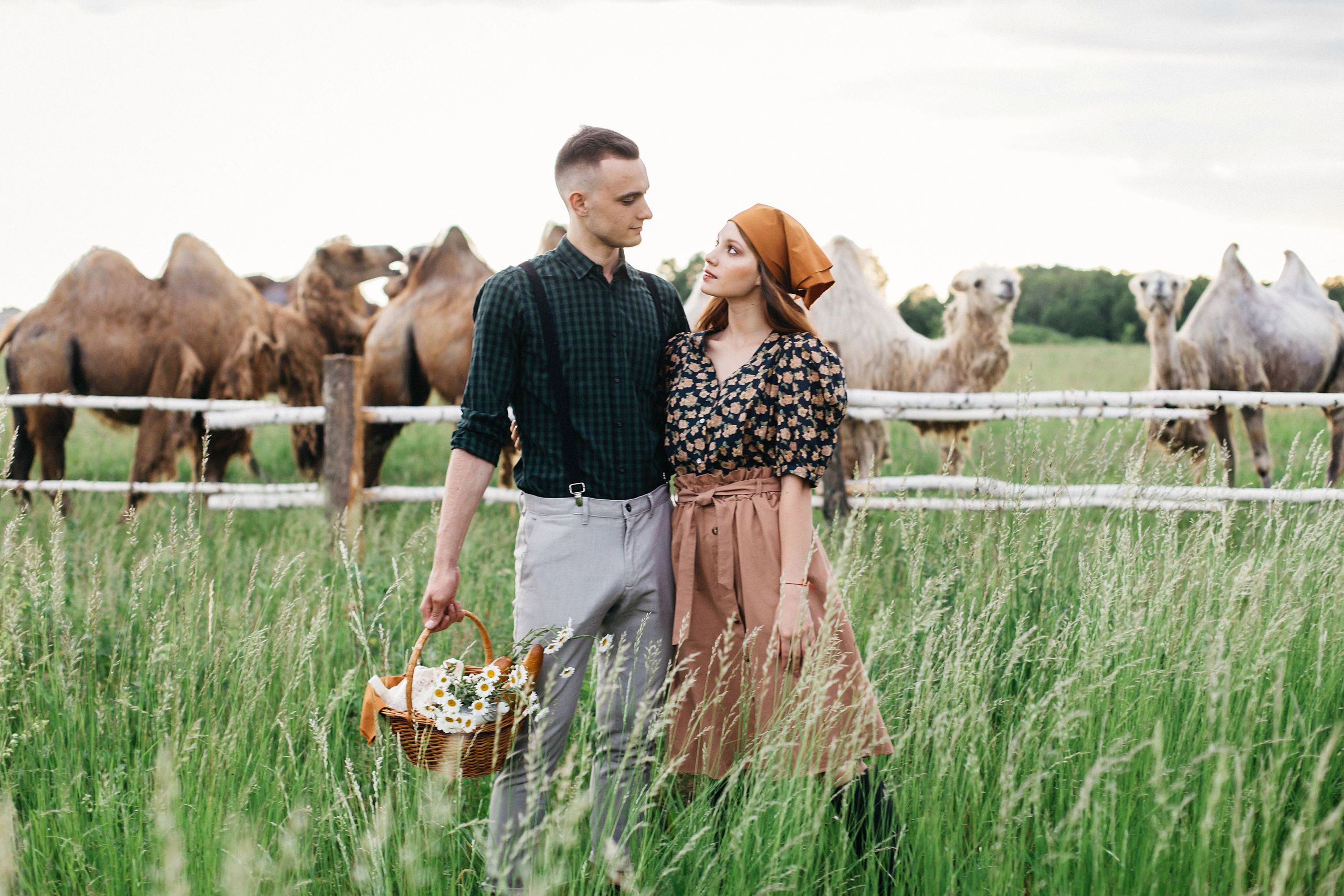 Фотосессия с верблюдами. Иванова Ирина Свадебный и семейный фотограф г. Уфа