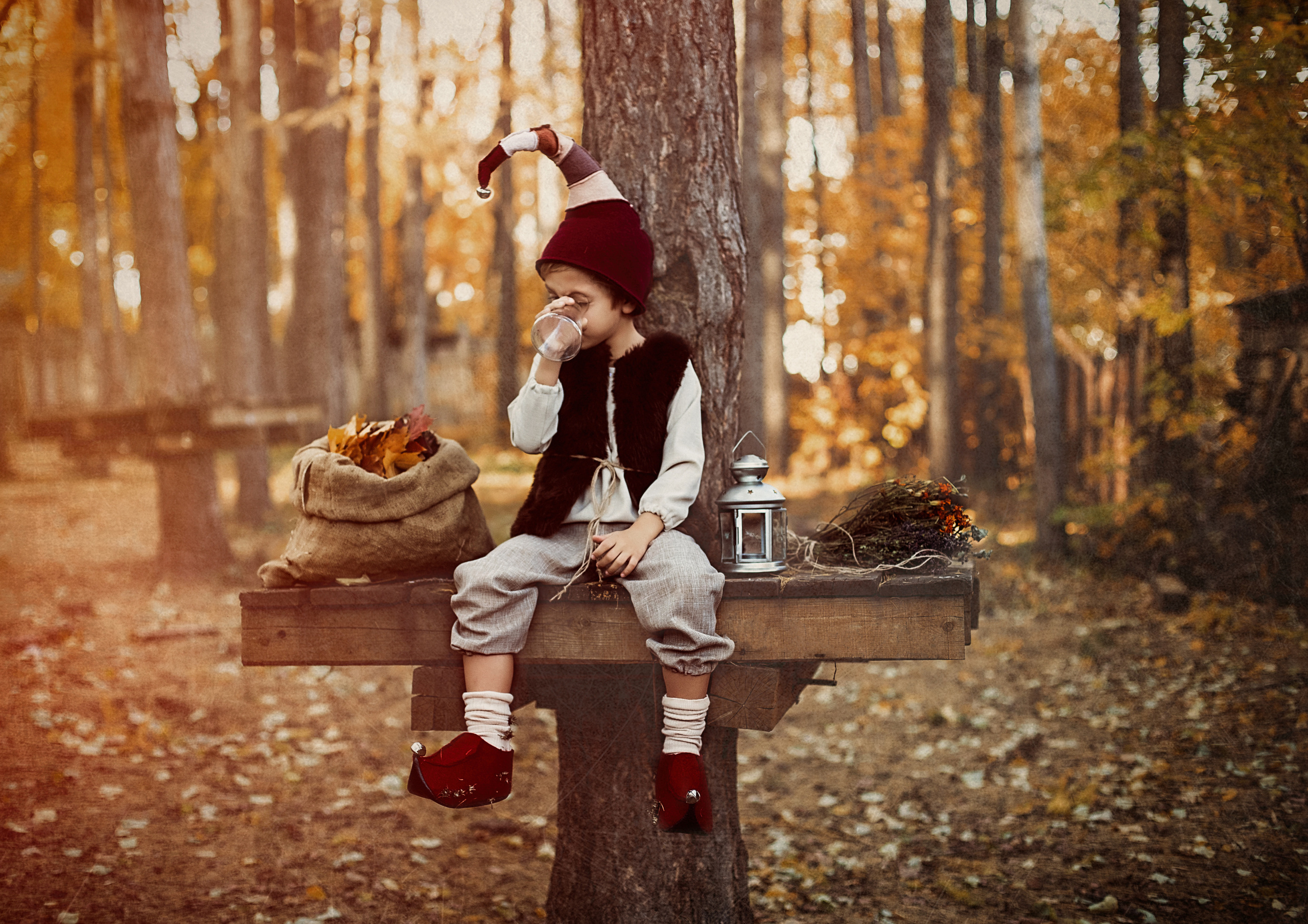 Осенние гномики)). Иванова Ирина Свадебный и семейный фотограф г. Уфа