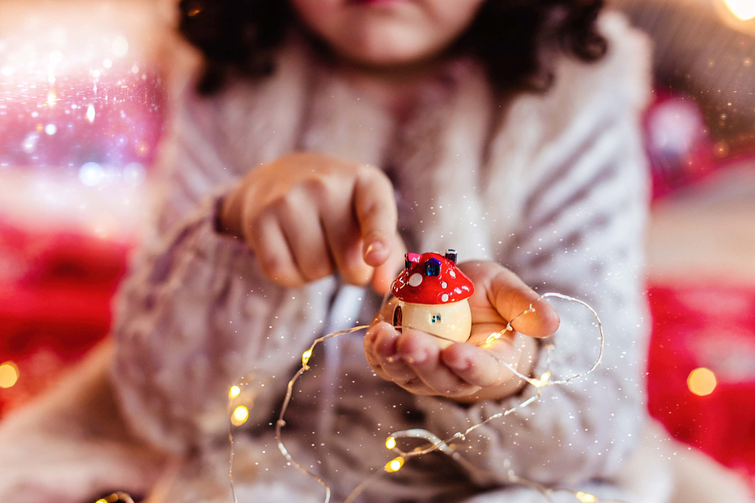 Новогодние гномики. Иванова Ирина Свадебный и семейный фотограф г. Уфа
