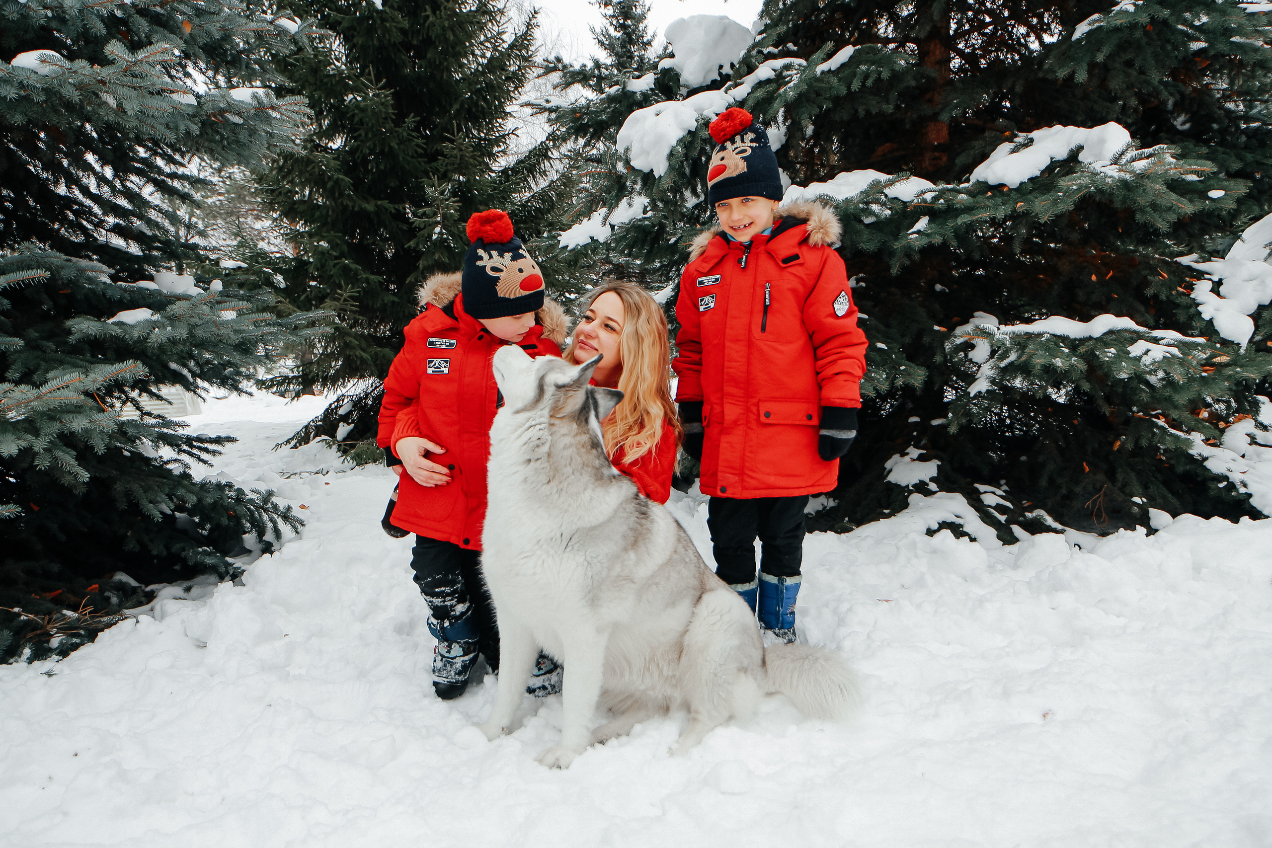 Фотосессия с Хаски). Иванова Ирина Свадебный и семейный фотограф г. Уфа