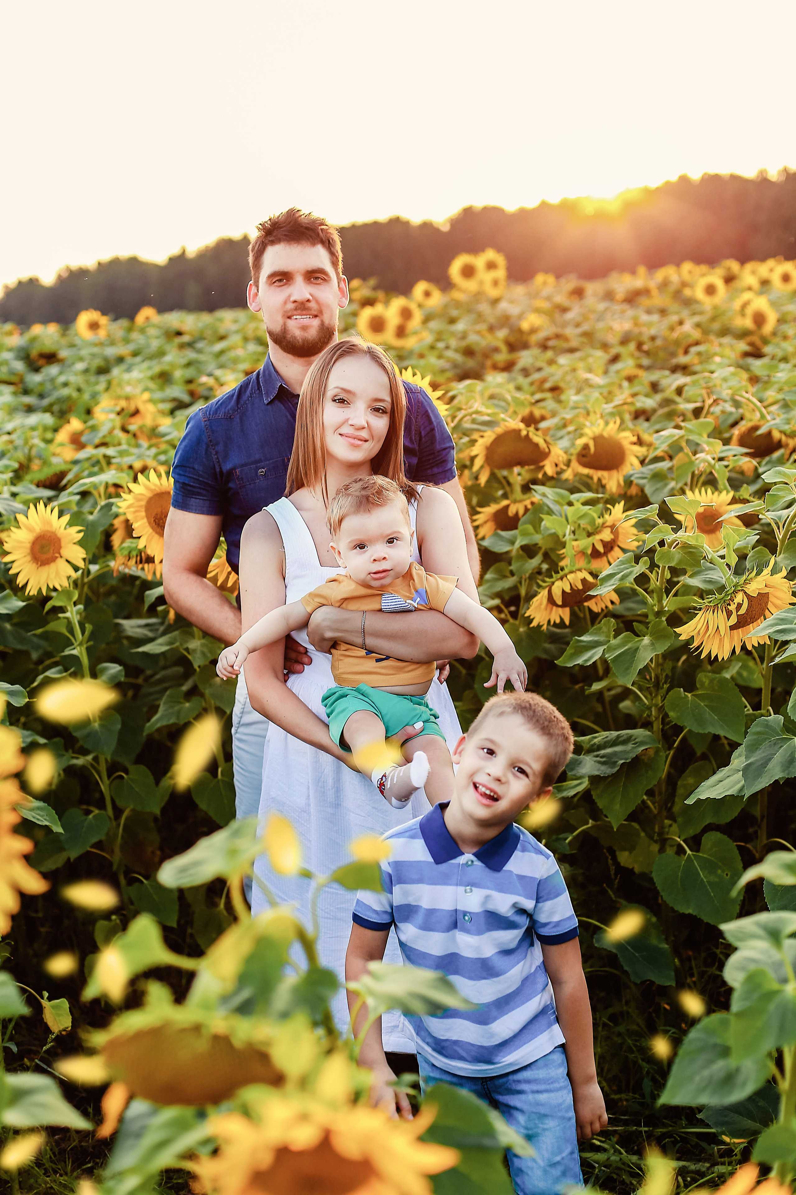 Семья в подсолнухах)). Иванова Ирина Свадебный и семейный фотограф г. Уфа