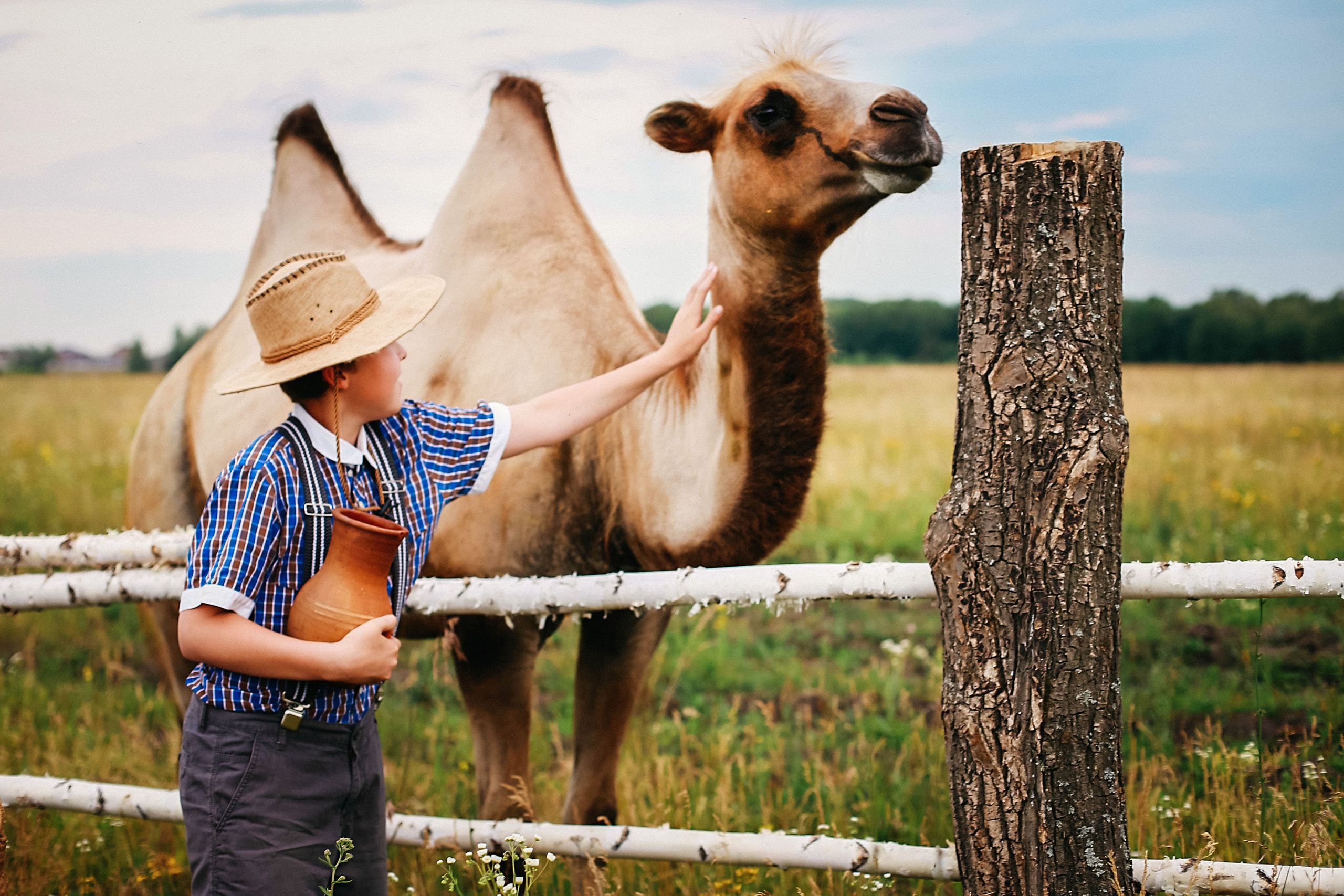 Кормление верблюдов. Семейная съемка. Иванова Ирина Свадебный и семейный фотограф г. Уфа