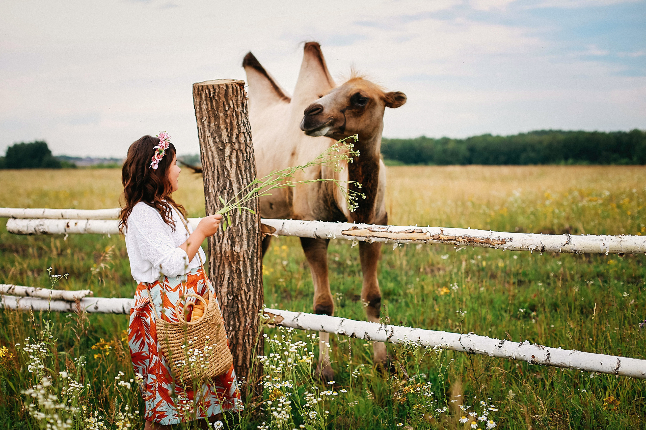 Кормление верблюдов. Семейная съемка. Иванова Ирина Свадебный и семейный фотограф г. Уфа