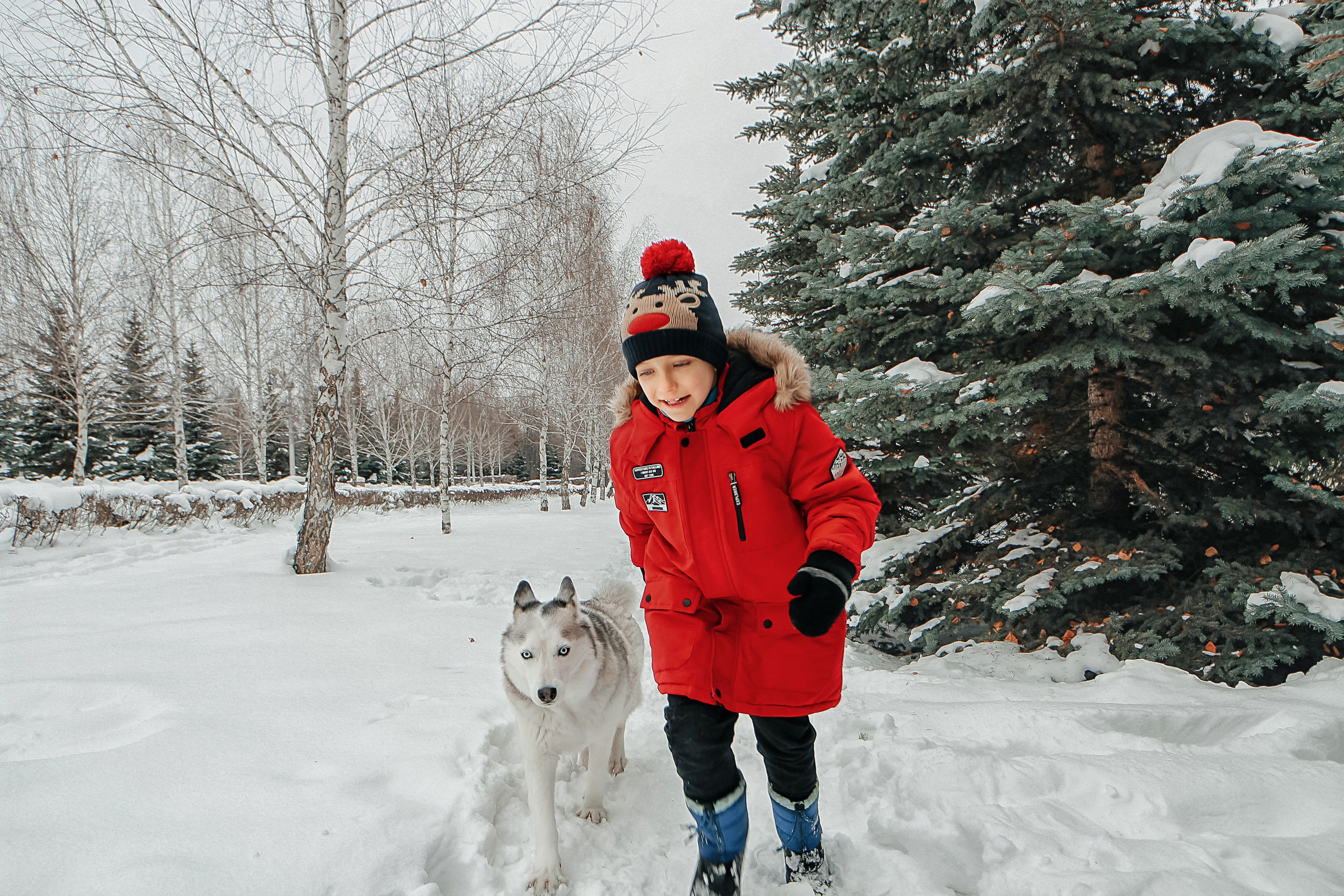 Фотосессия с Хаски). Иванова Ирина Свадебный и семейный фотограф г. Уфа