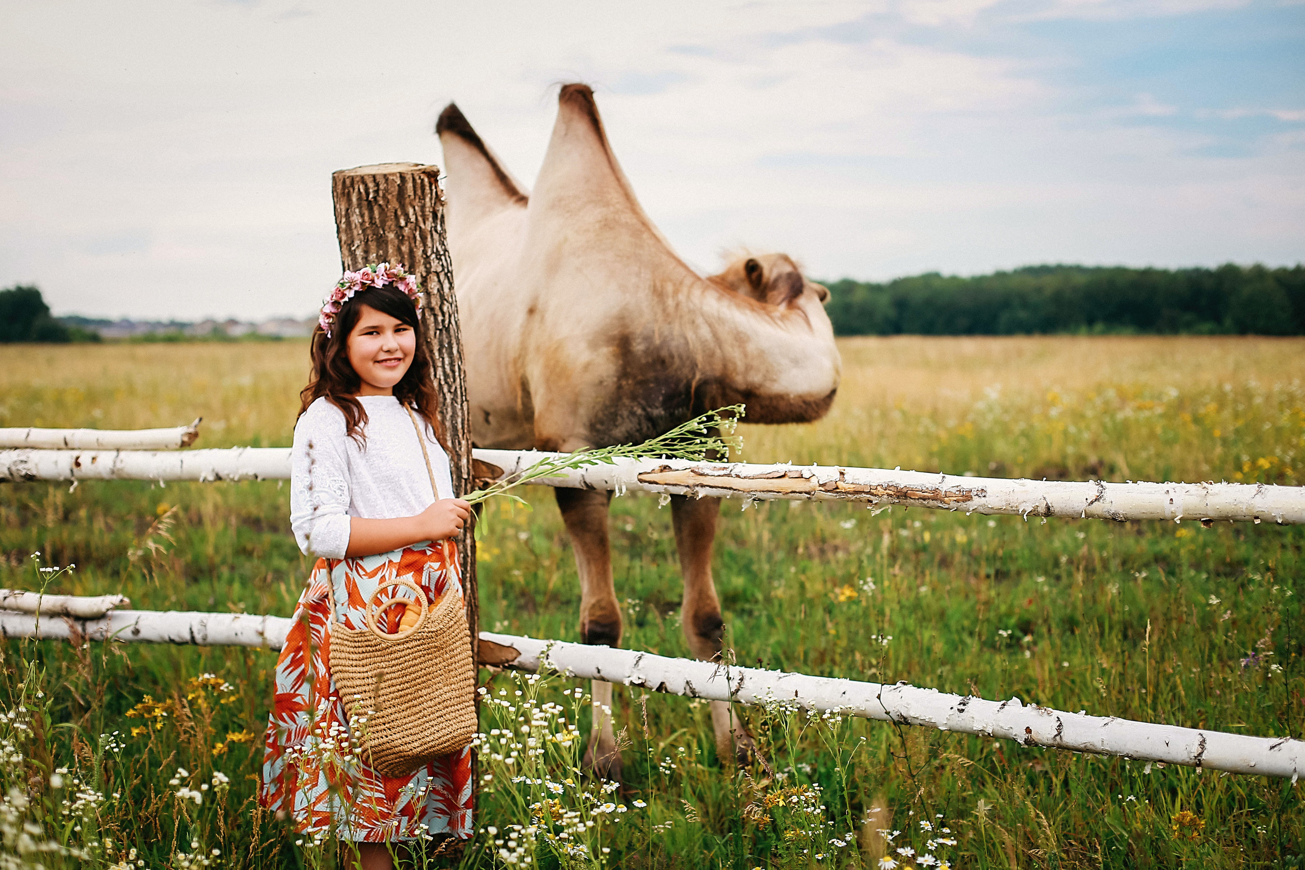 Кормление верблюдов. Семейная съемка. Иванова Ирина Свадебный и семейный фотограф г. Уфа