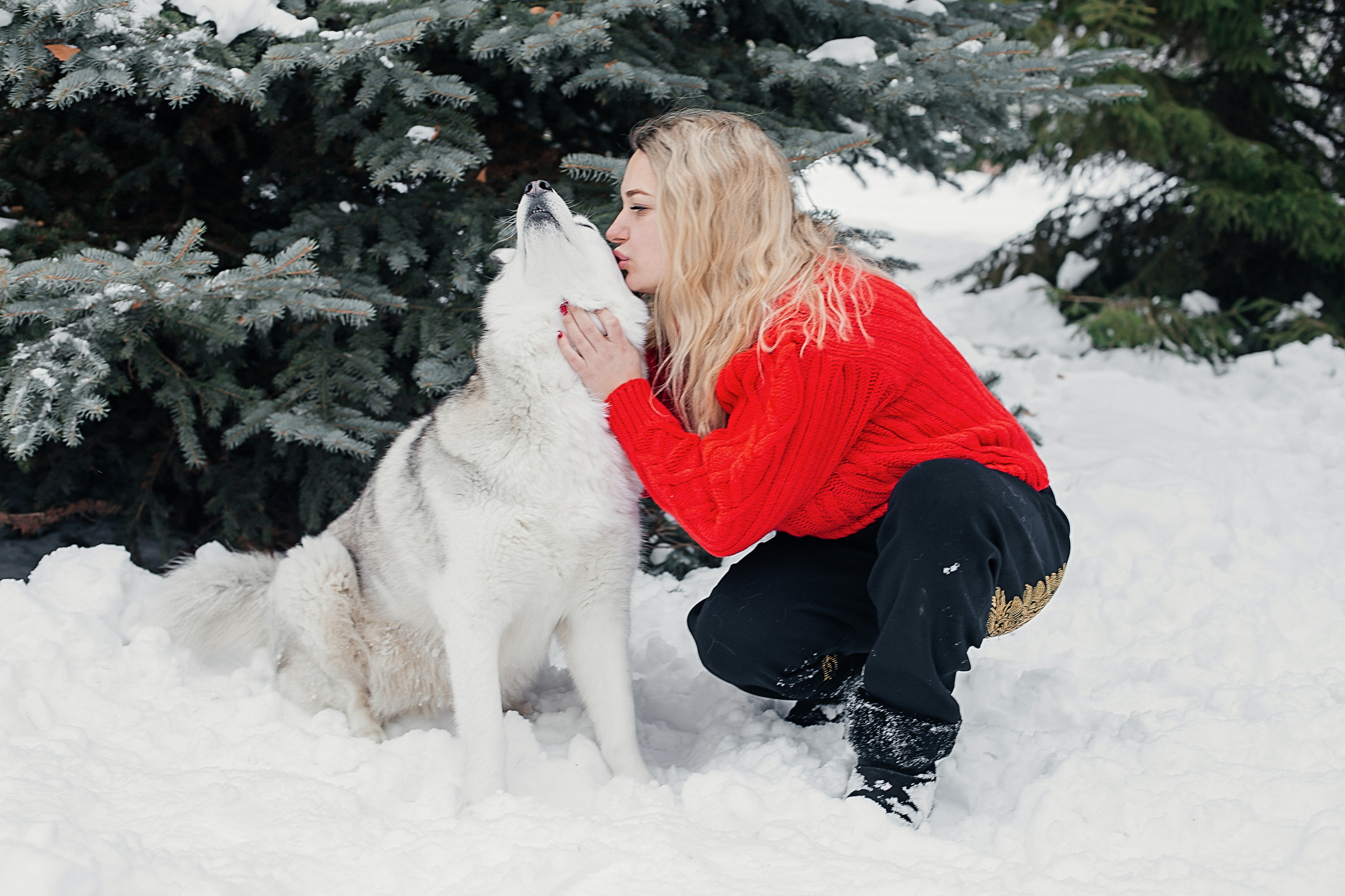 Фотосессия с Хаски). Иванова Ирина Свадебный и семейный фотограф г. Уфа