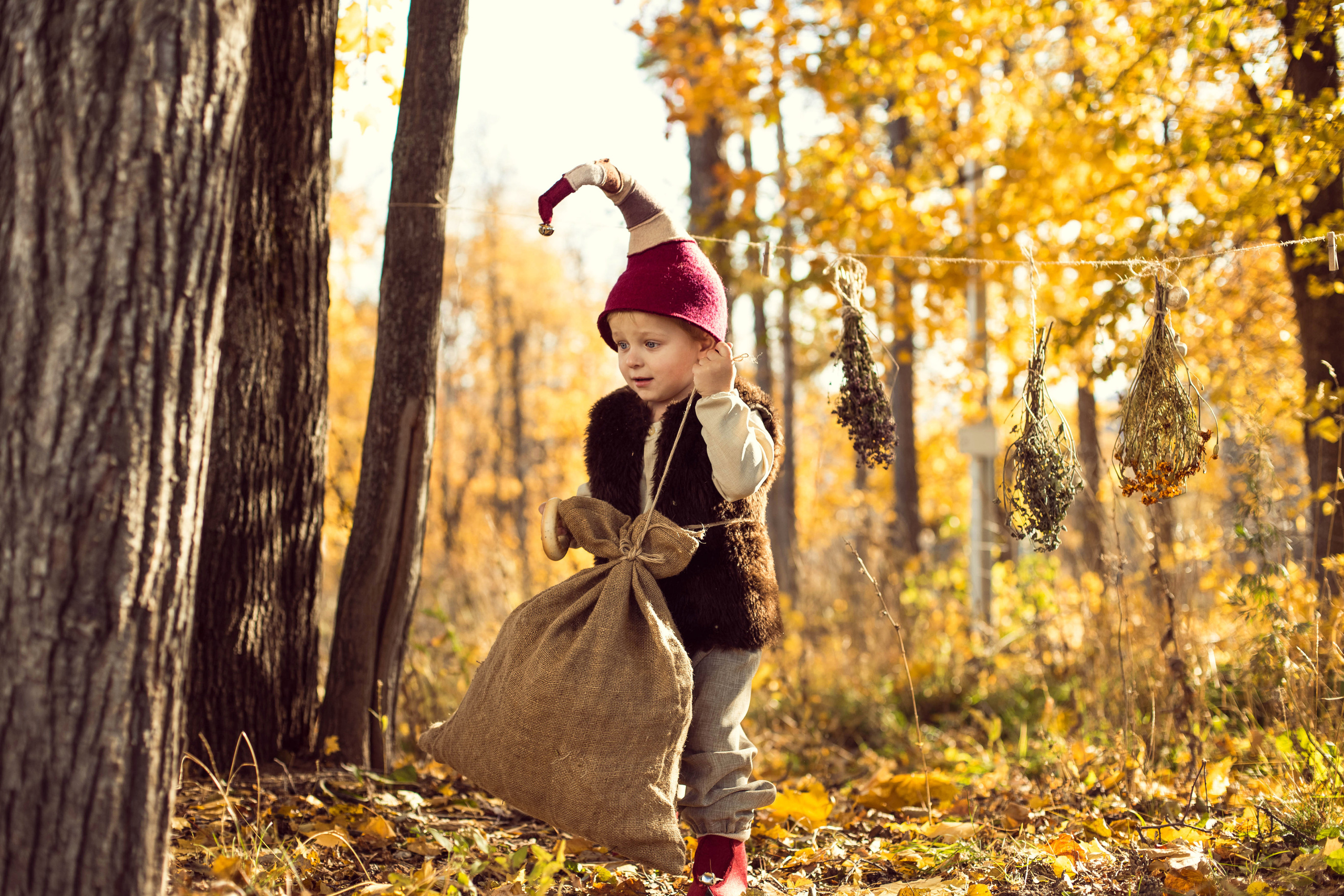 Осенние гномики)). Иванова Ирина Свадебный и семейный фотограф г. Уфа