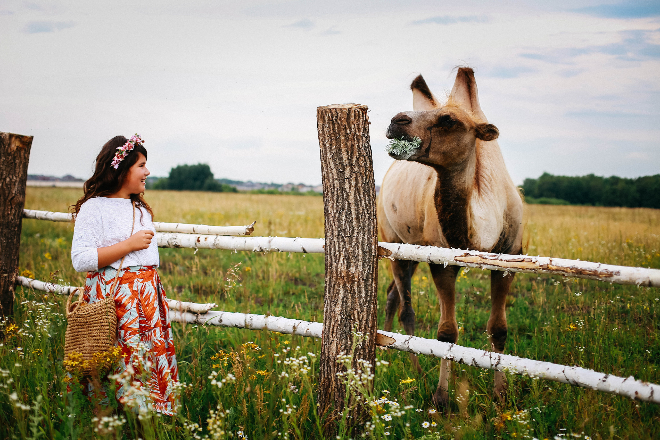 Кормление верблюдов. Семейная съемка. Иванова Ирина Свадебный и семейный фотограф г. Уфа