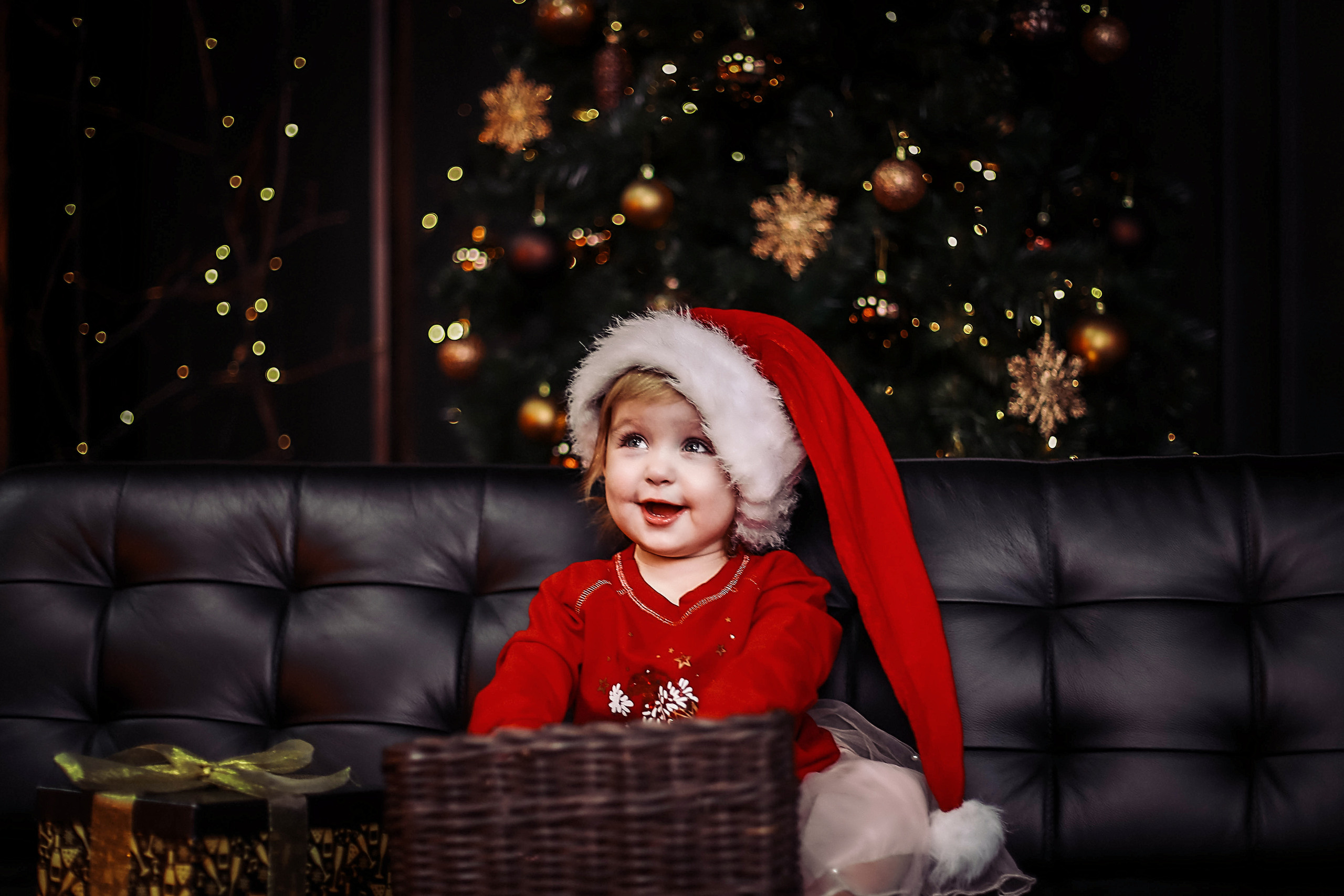 Новогодние гномики. Иванова Ирина Свадебный и семейный фотограф г. Уфа