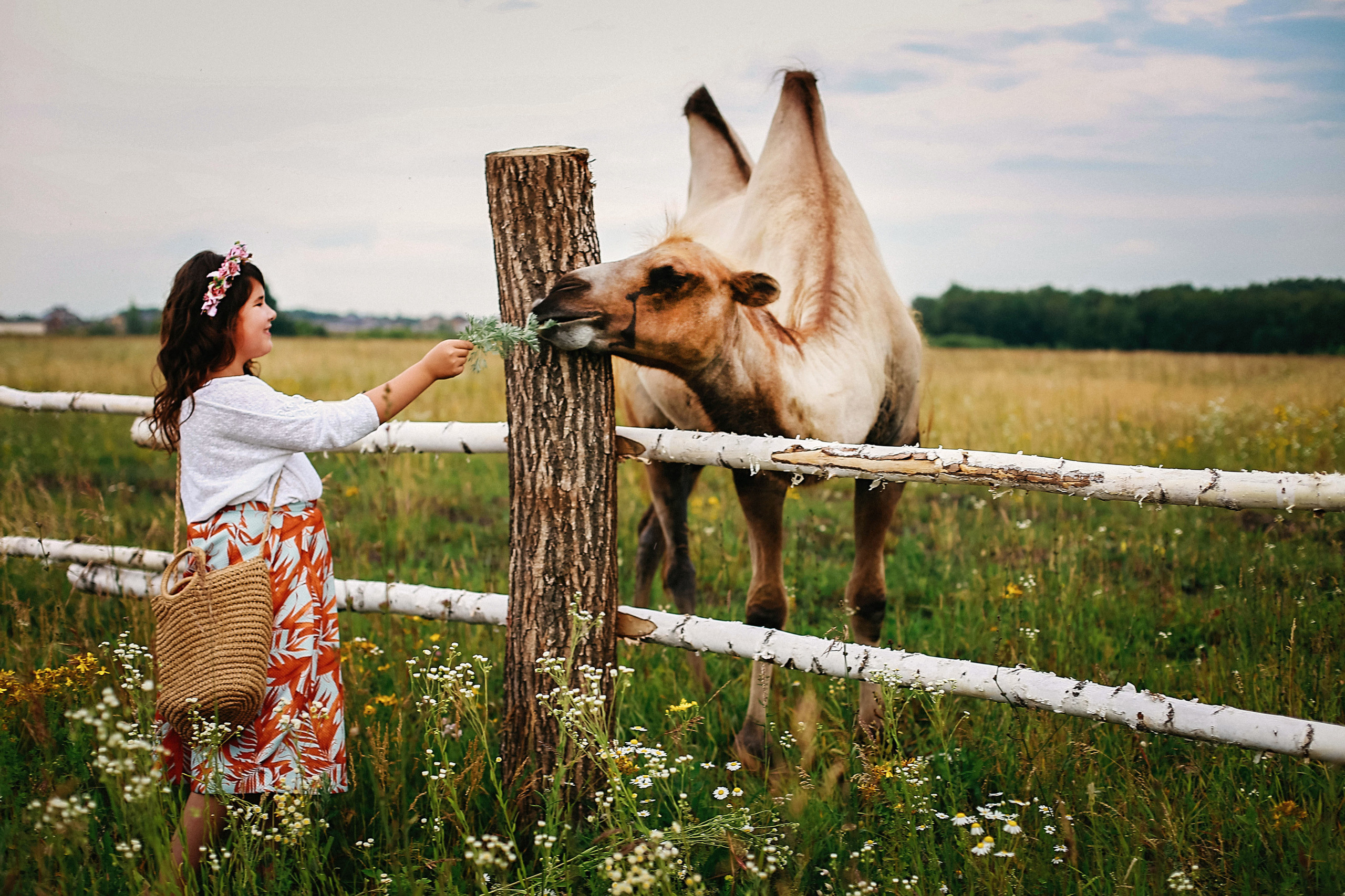 Кормление верблюдов. Семейная съемка. Иванова Ирина Свадебный и семейный фотограф г. Уфа
