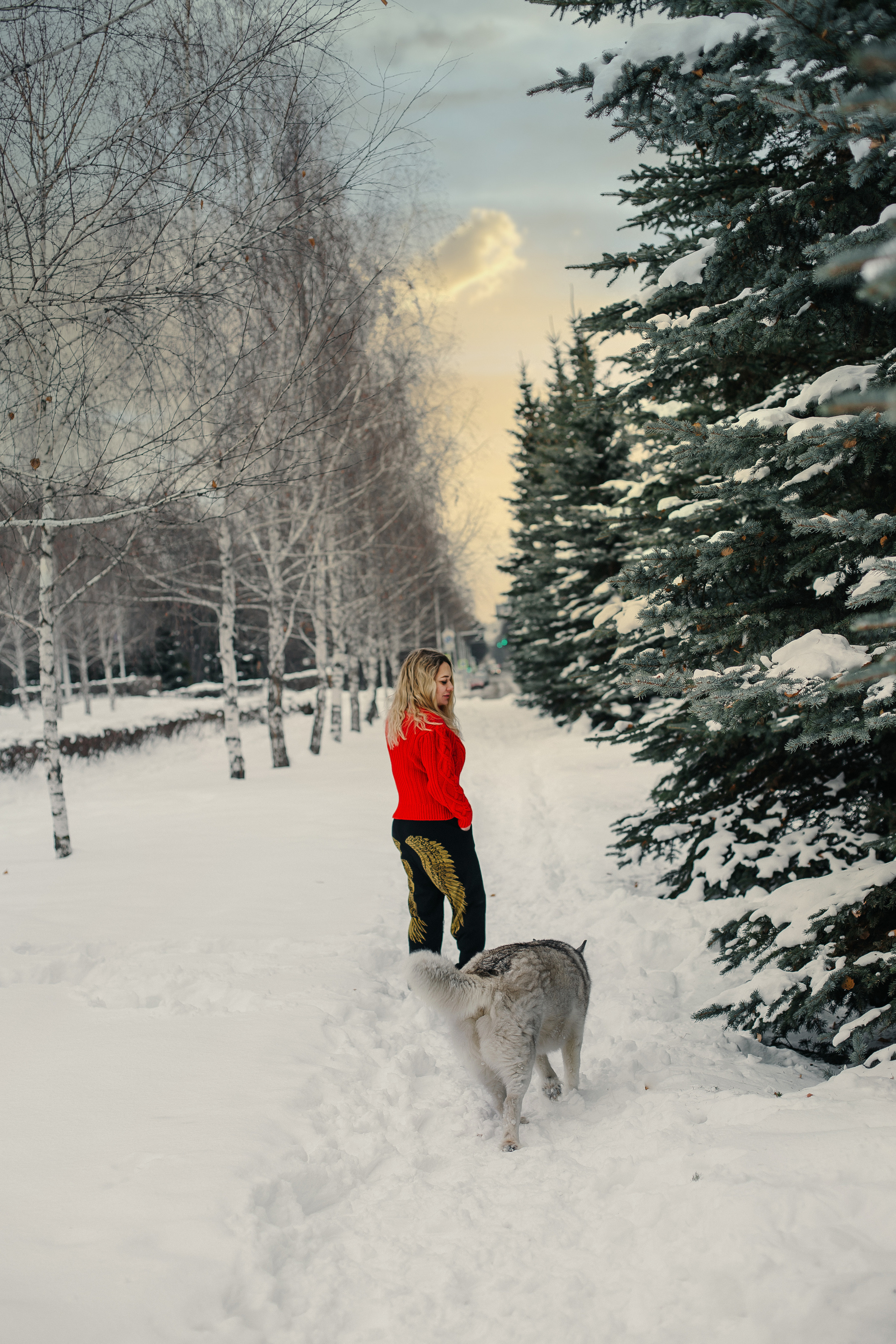 Фотосессия с Хаски). Иванова Ирина Свадебный и семейный фотограф г. Уфа