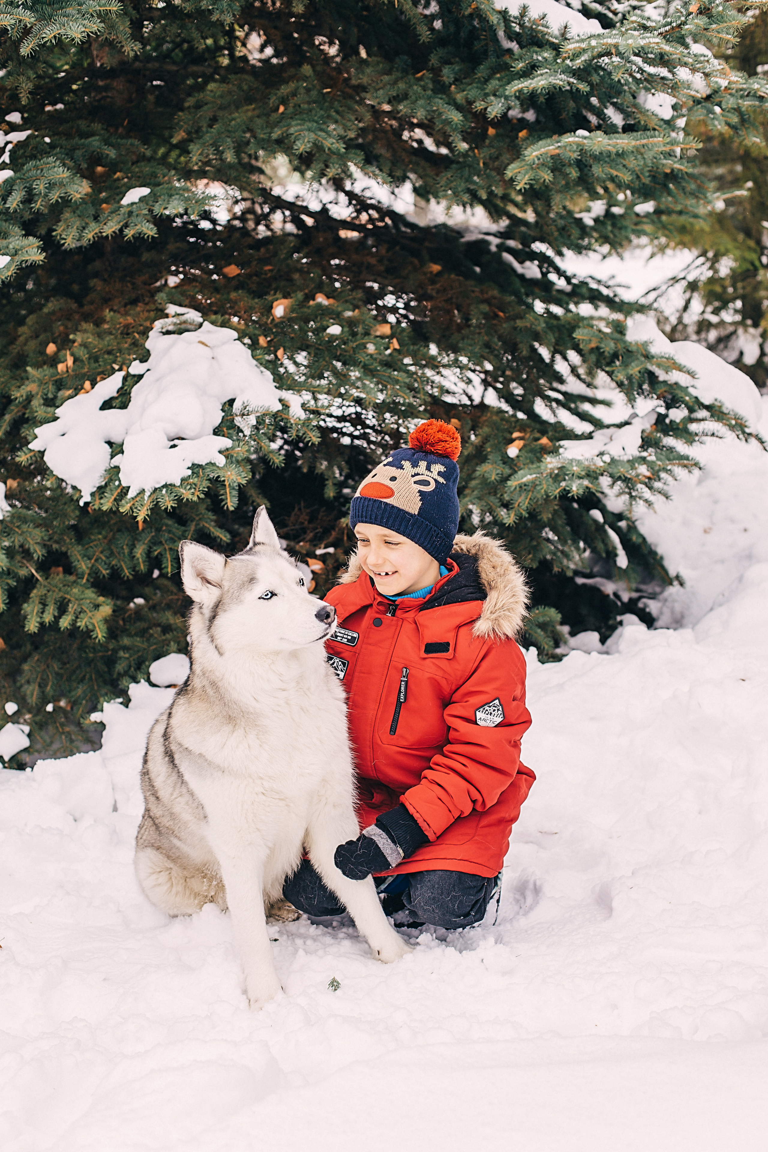 Фотосессия с Хаски). Иванова Ирина Свадебный и семейный фотограф г. Уфа