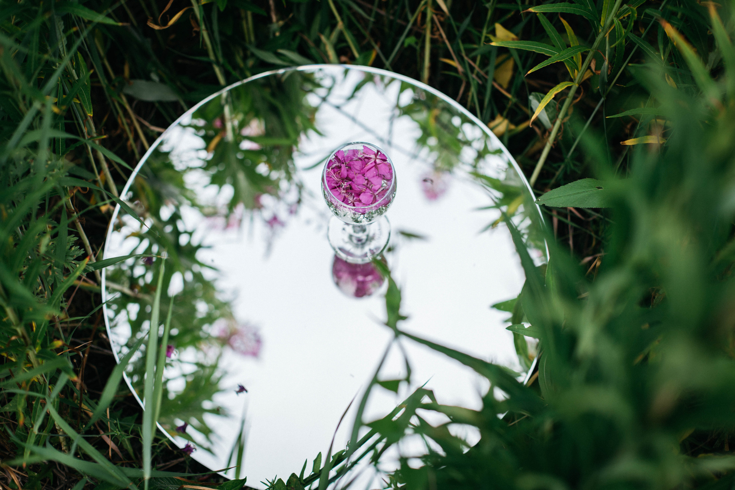 Фотосессия в поле Иван — чай. Иванова Ирина Свадебный и семейный фотограф г. Уфа