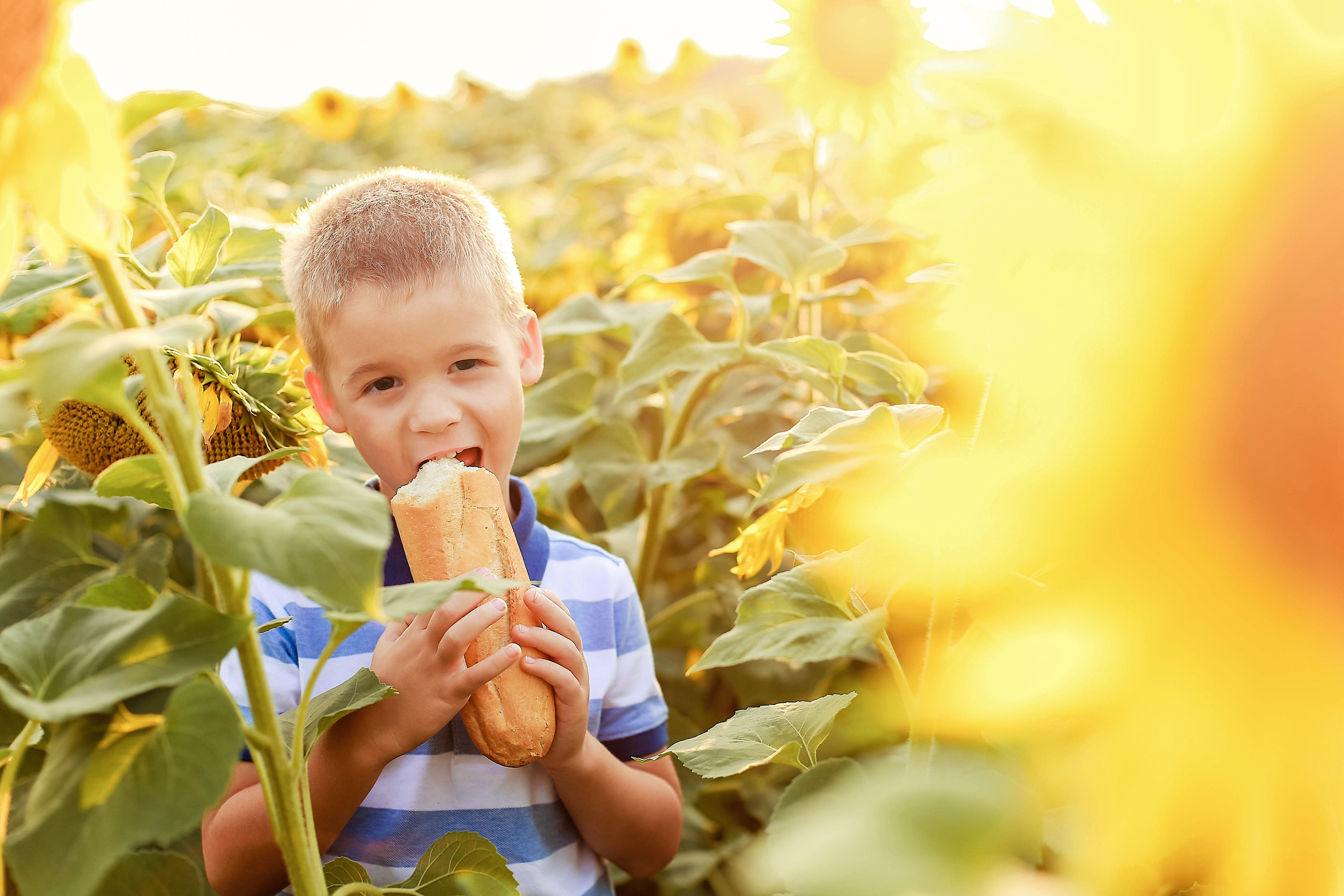 Семья в подсолнухах)). Иванова Ирина Свадебный и семейный фотограф г. Уфа
